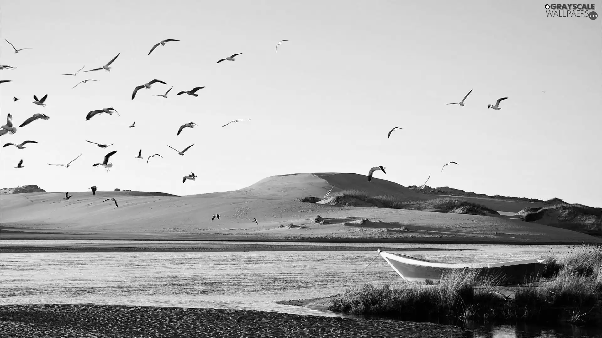 lake, gulls, Sky, Boat