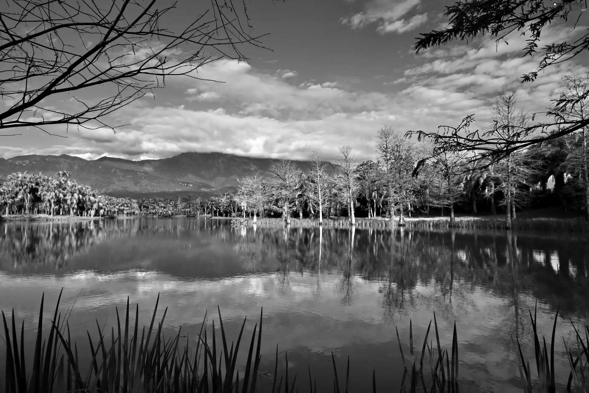 lake, Mountains, Sky, woods