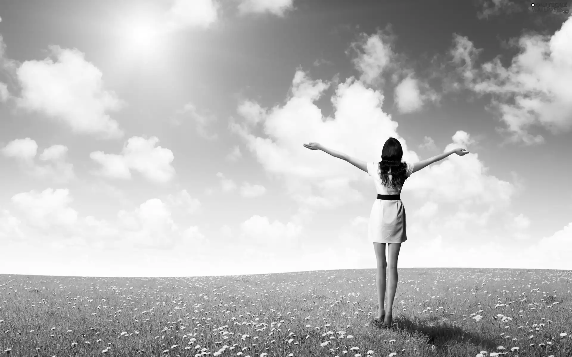 Meadow, Flowers, Sky, girl