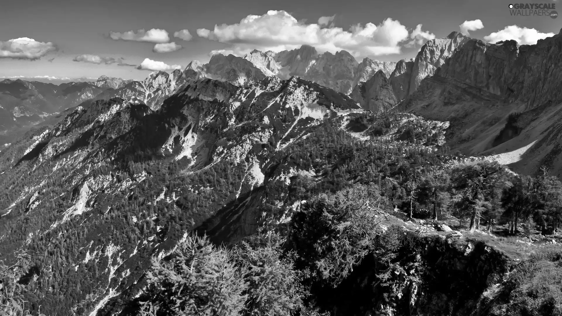 Mountains, blue, Sky, forest