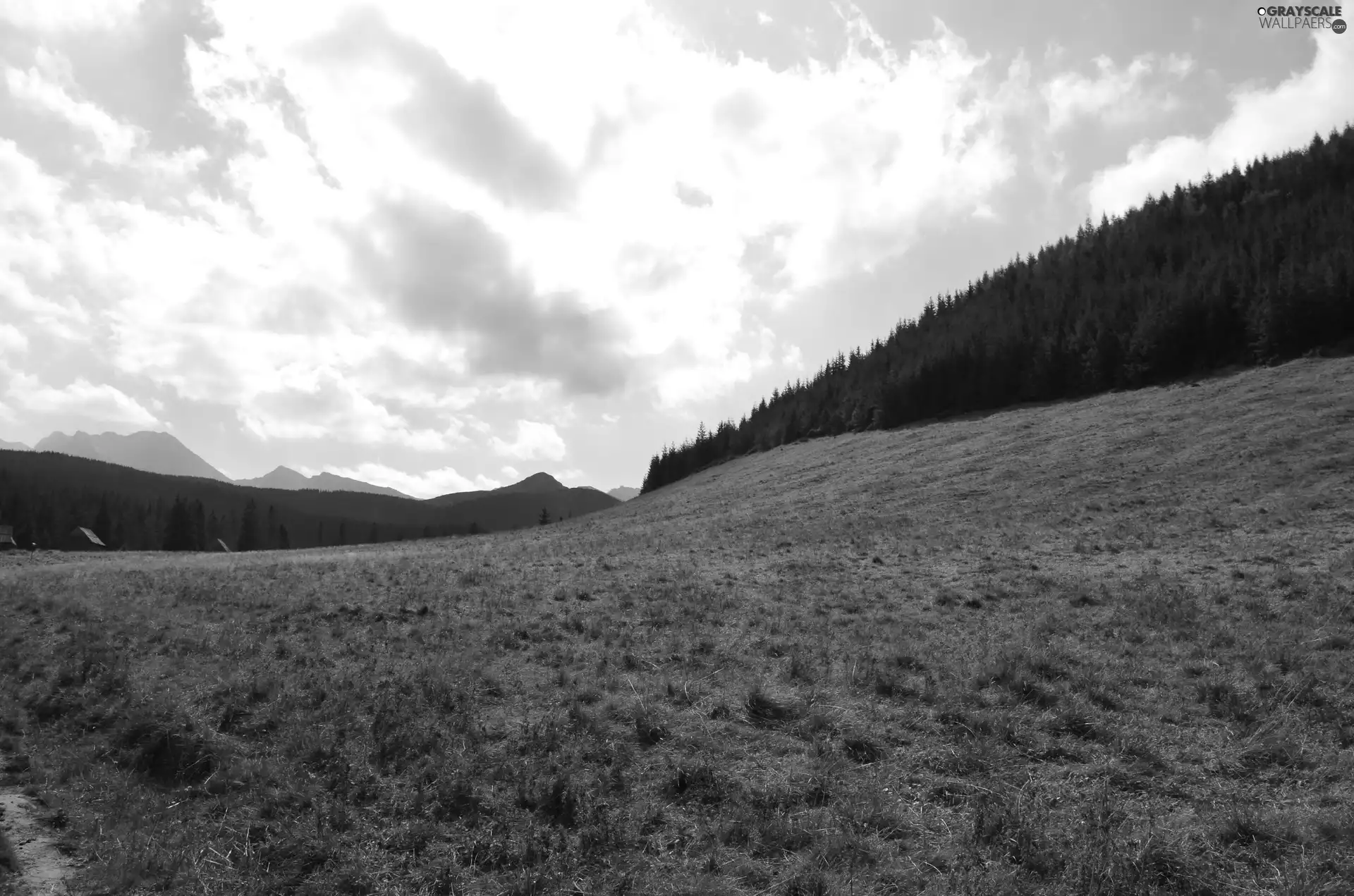 Sky, Meadow, Mountains