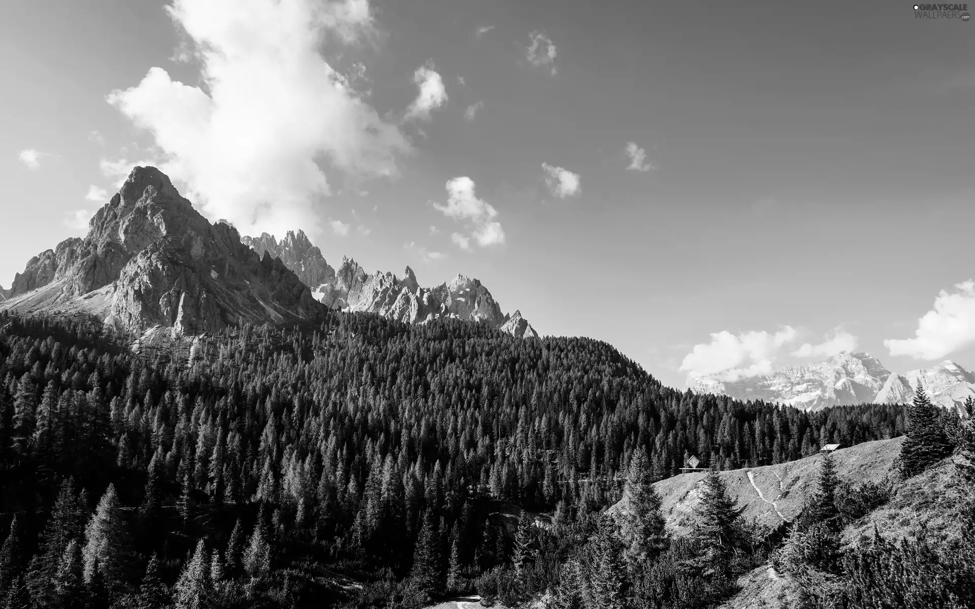 Mountains, viewes, Sky, trees