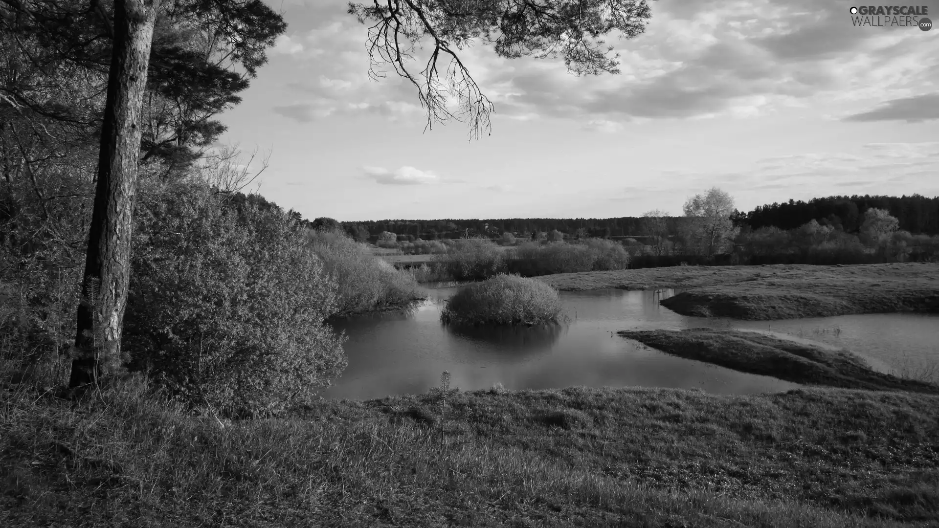 River, viewes, Sky, trees