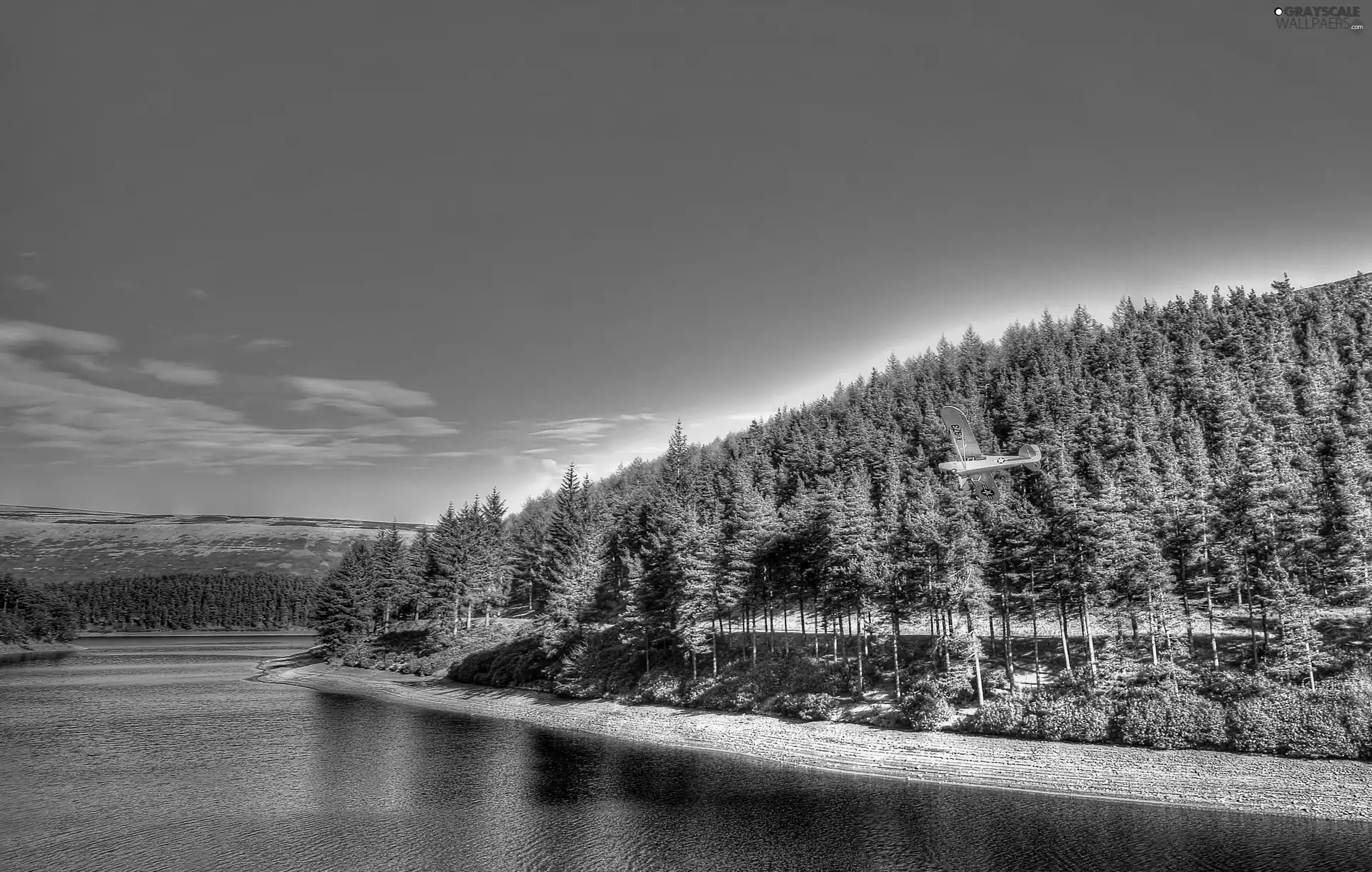 Sky, woods, River