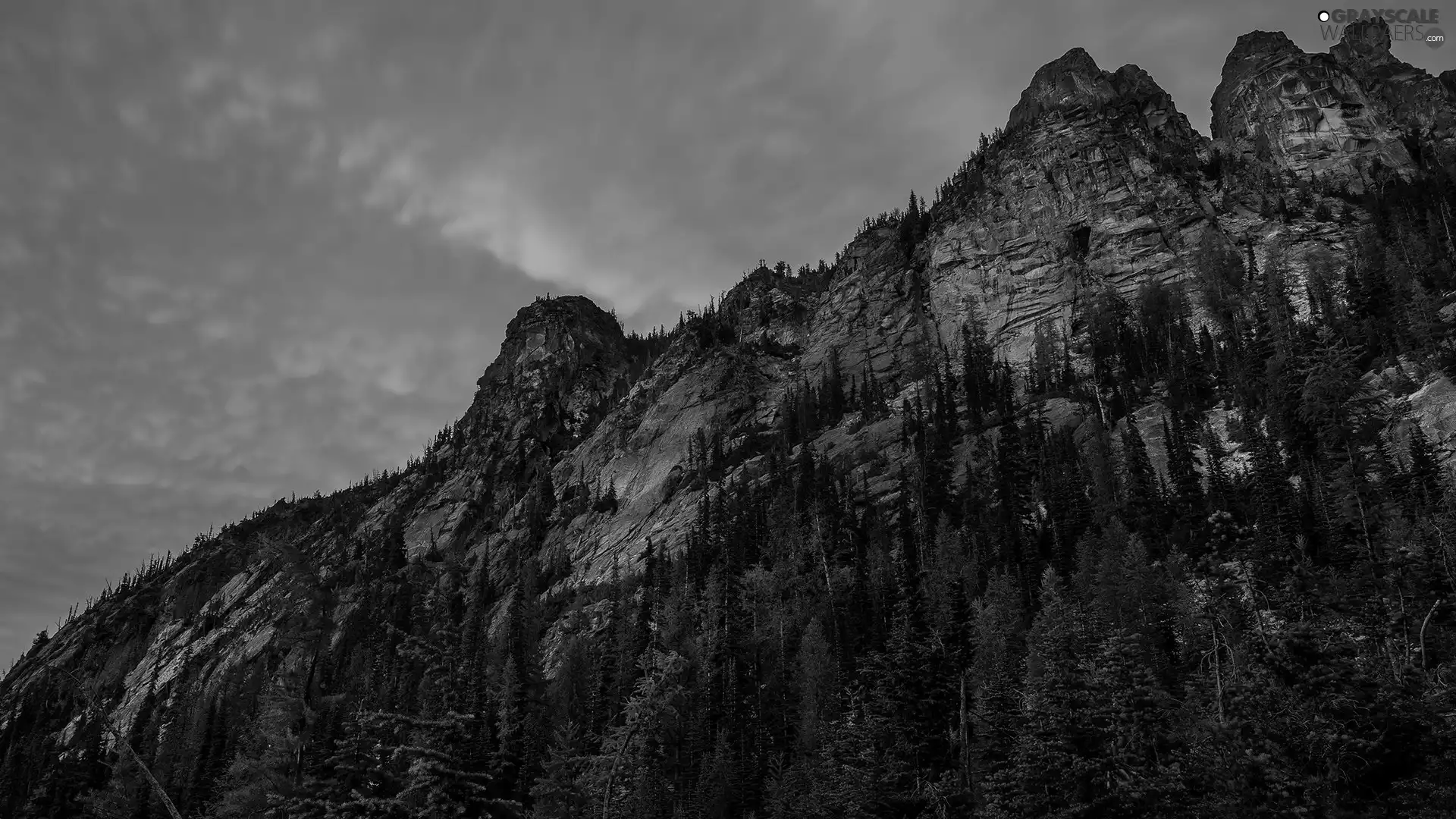 trees, Mountains, color, Sky, viewes, rocks