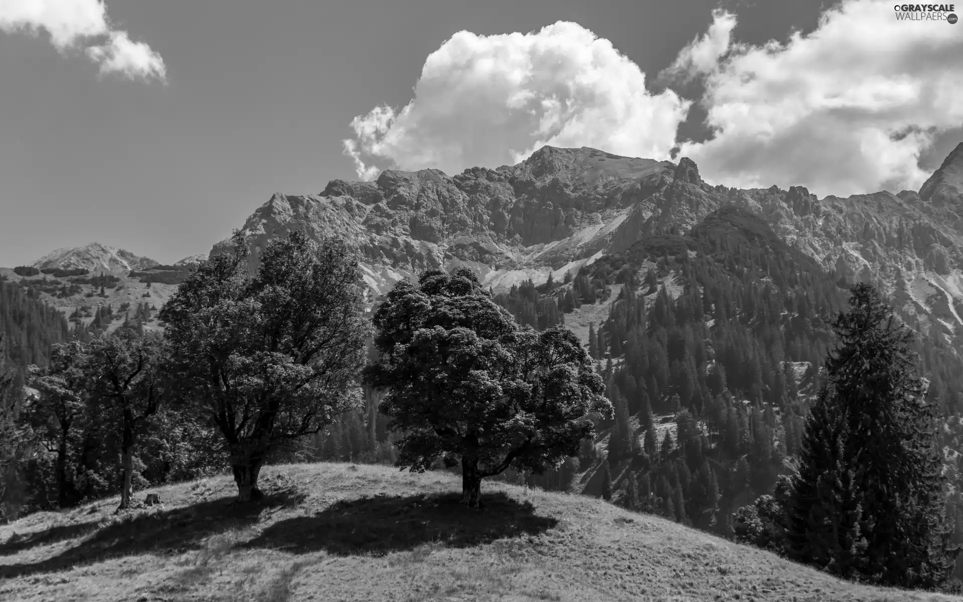 viewes, Mountains, clouds, Sky, summer, trees