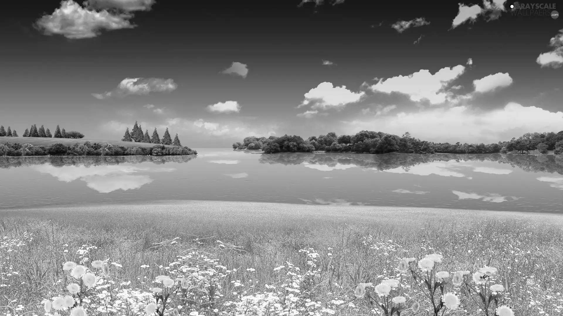 Sky, Meadow, water