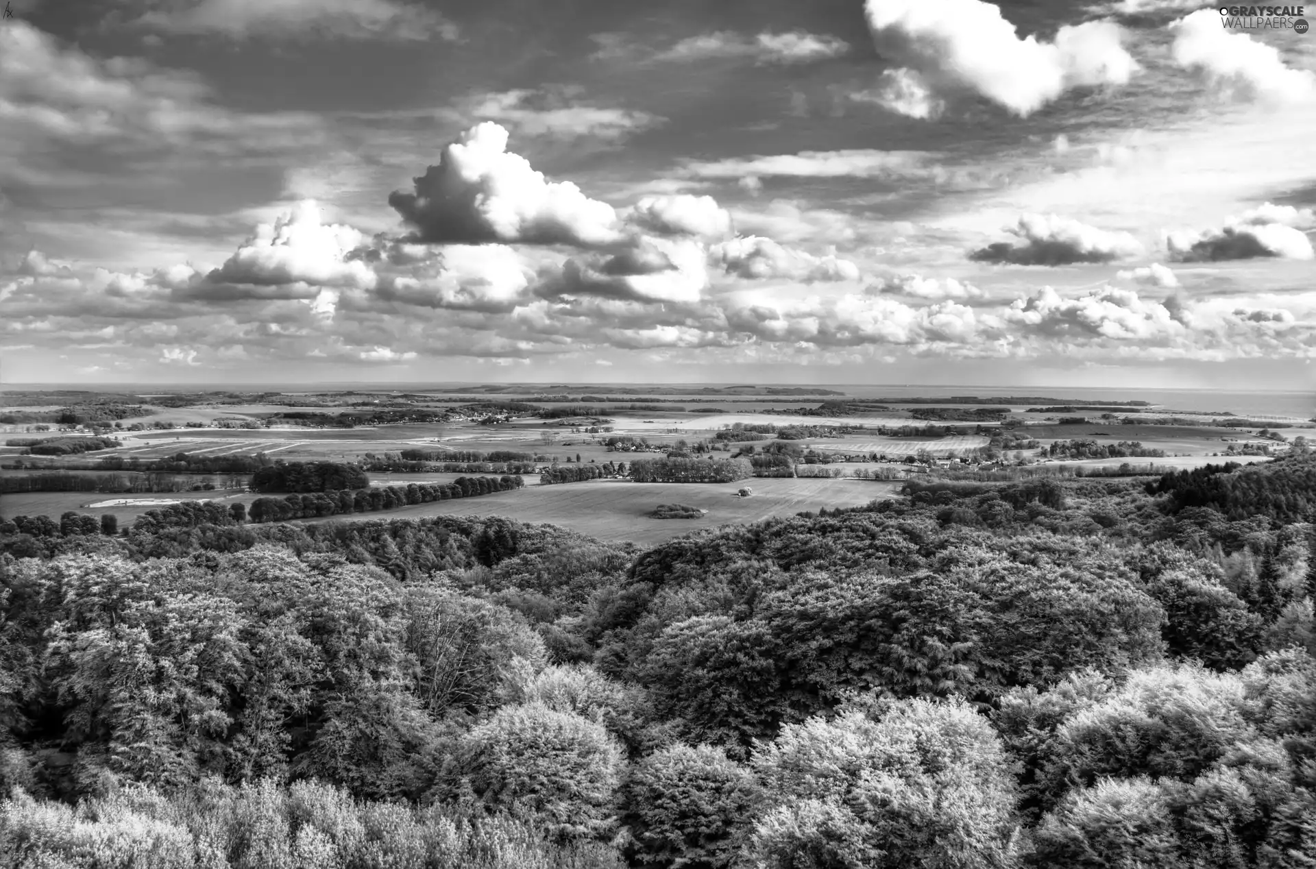 Sky, field, woods