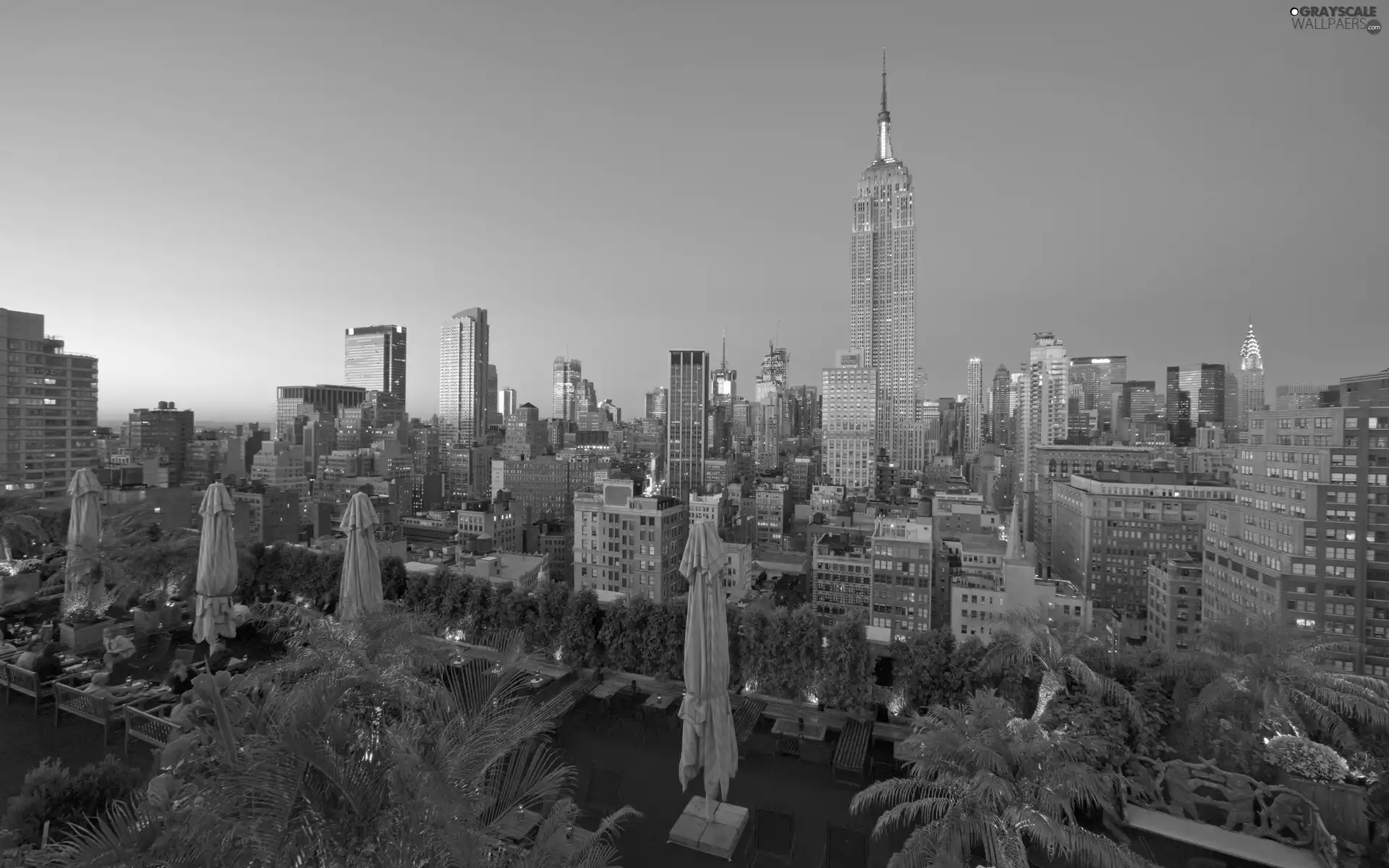 skyscraper, panorama, town