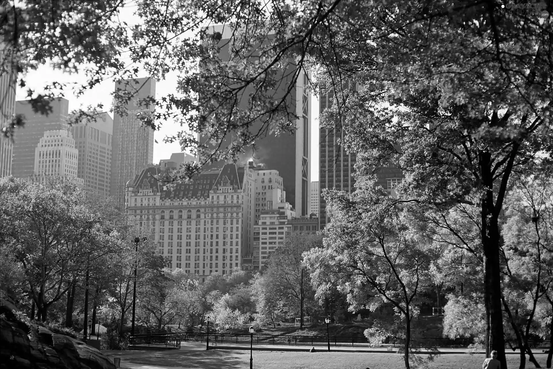 skyscrapers, clouds, Central, Park, autumn