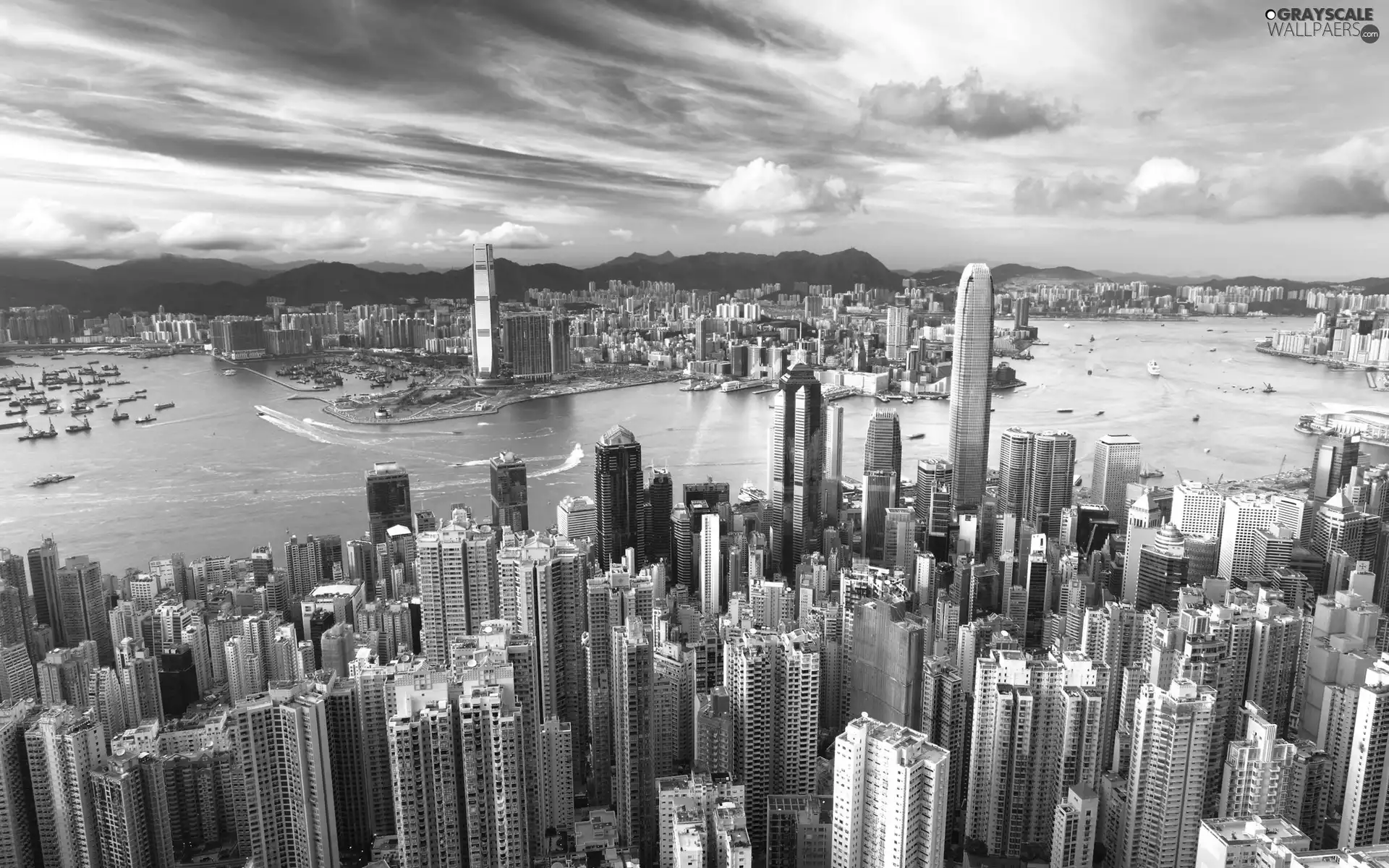skyscrapers, River, town, buildings, View
