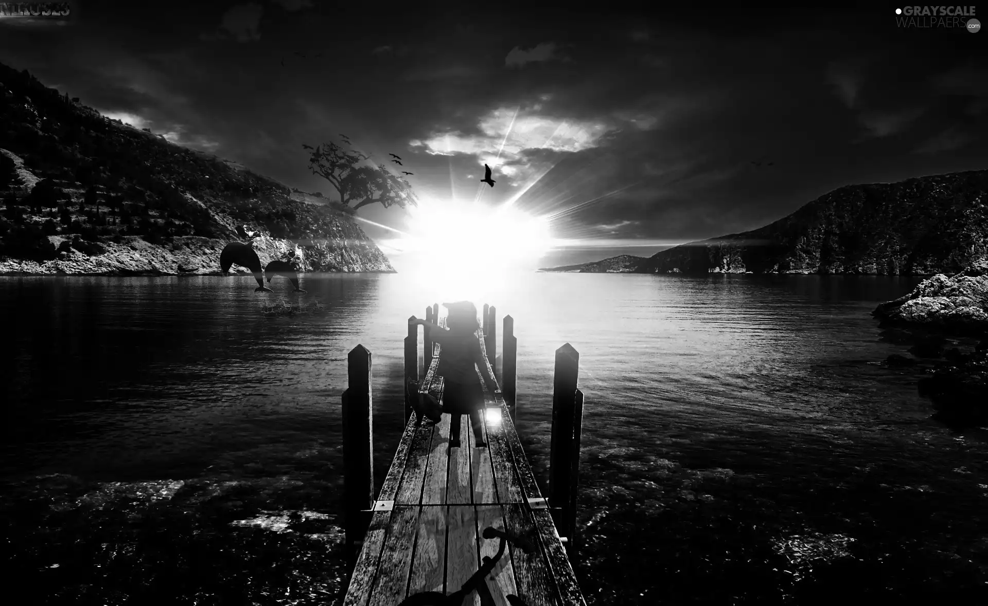 rays, rocks, small, boy, sun, lake