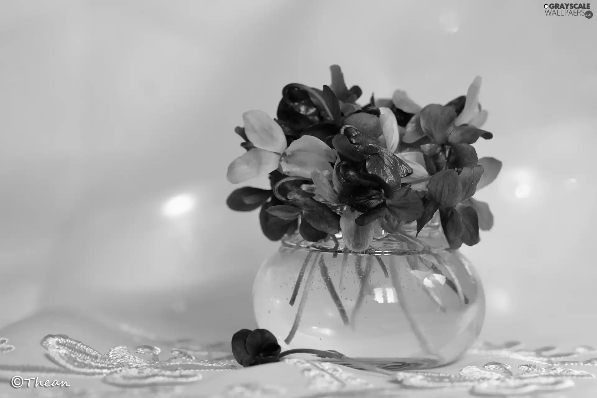 Spring, fragrant violets, small bunch