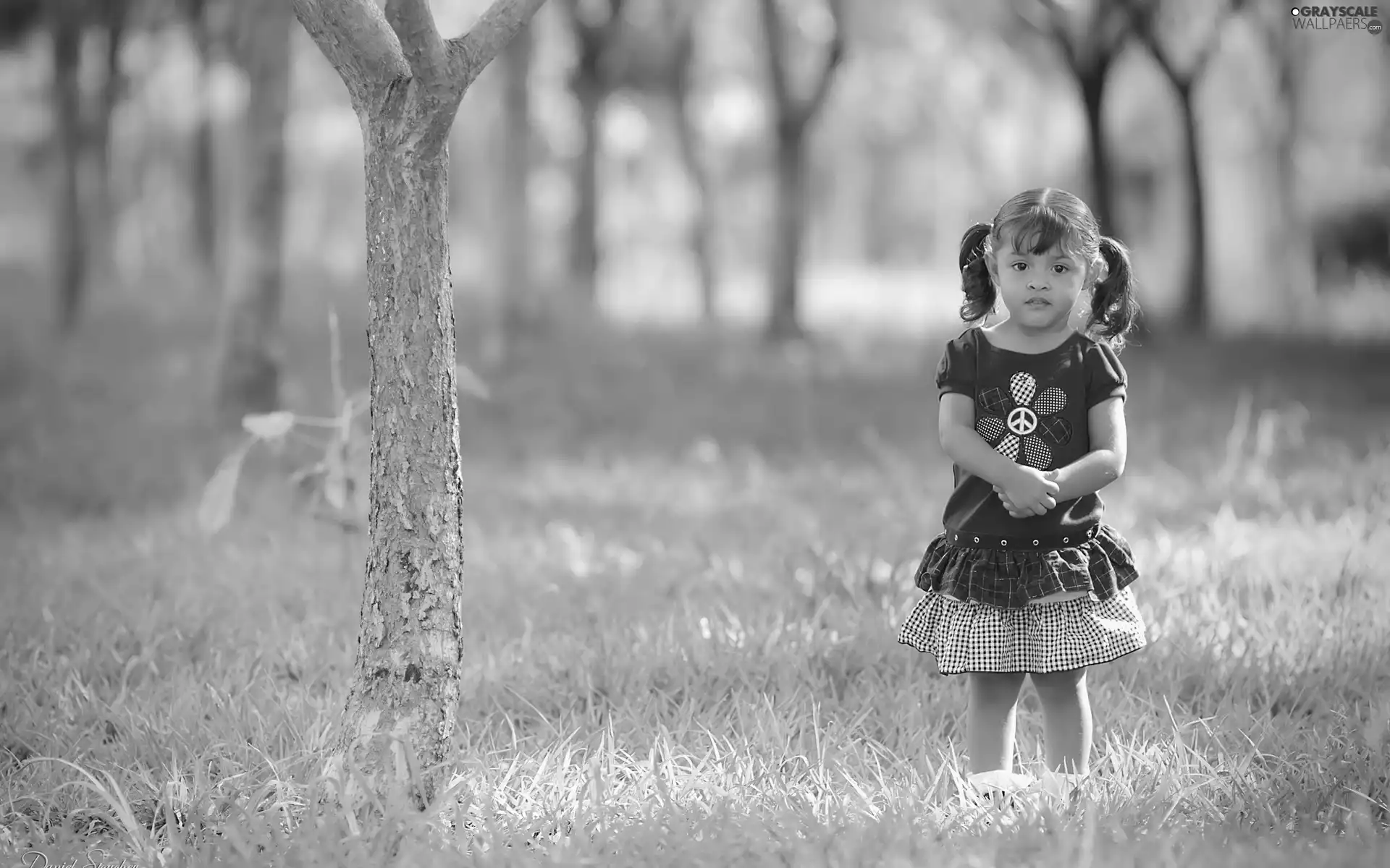 small, girl, trees, viewes, Park