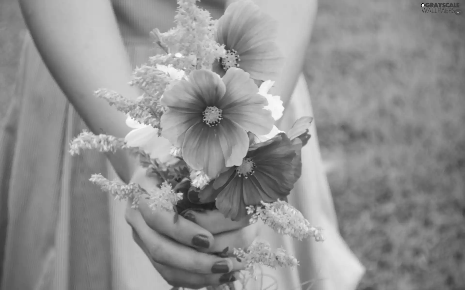 hands, girl, small bunch