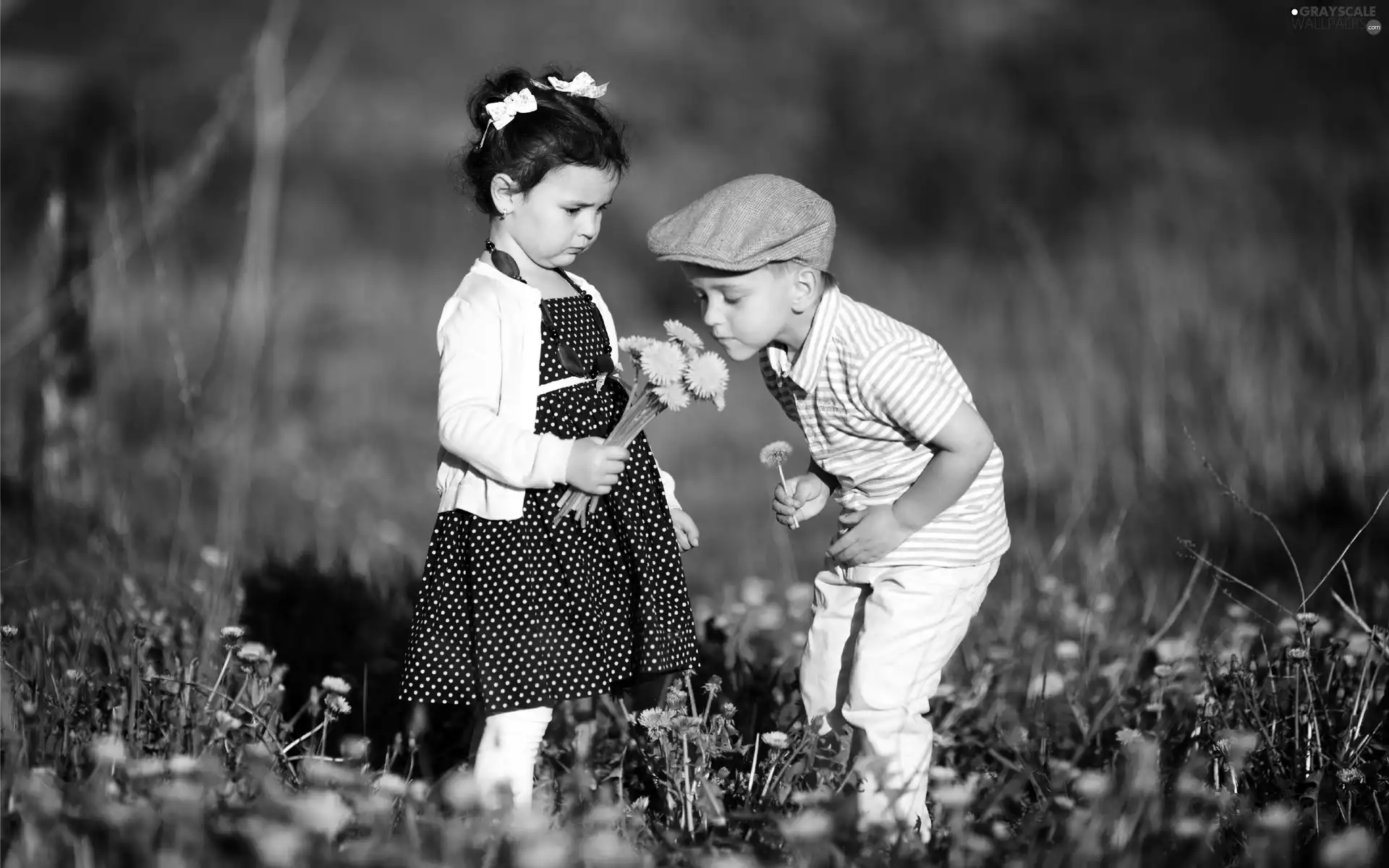 small bunch, summer, Meadow, Flowers, Kids