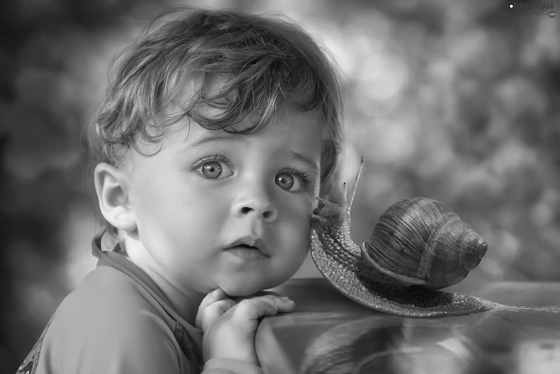 snail, small, boy