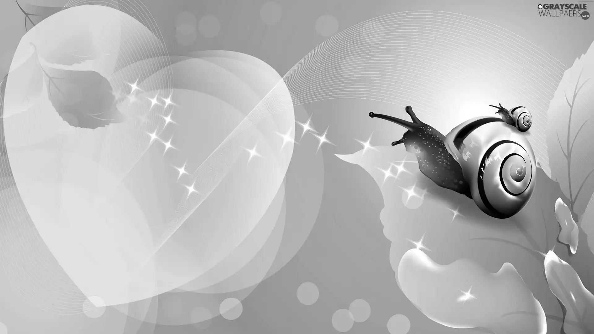 graphics, Snails