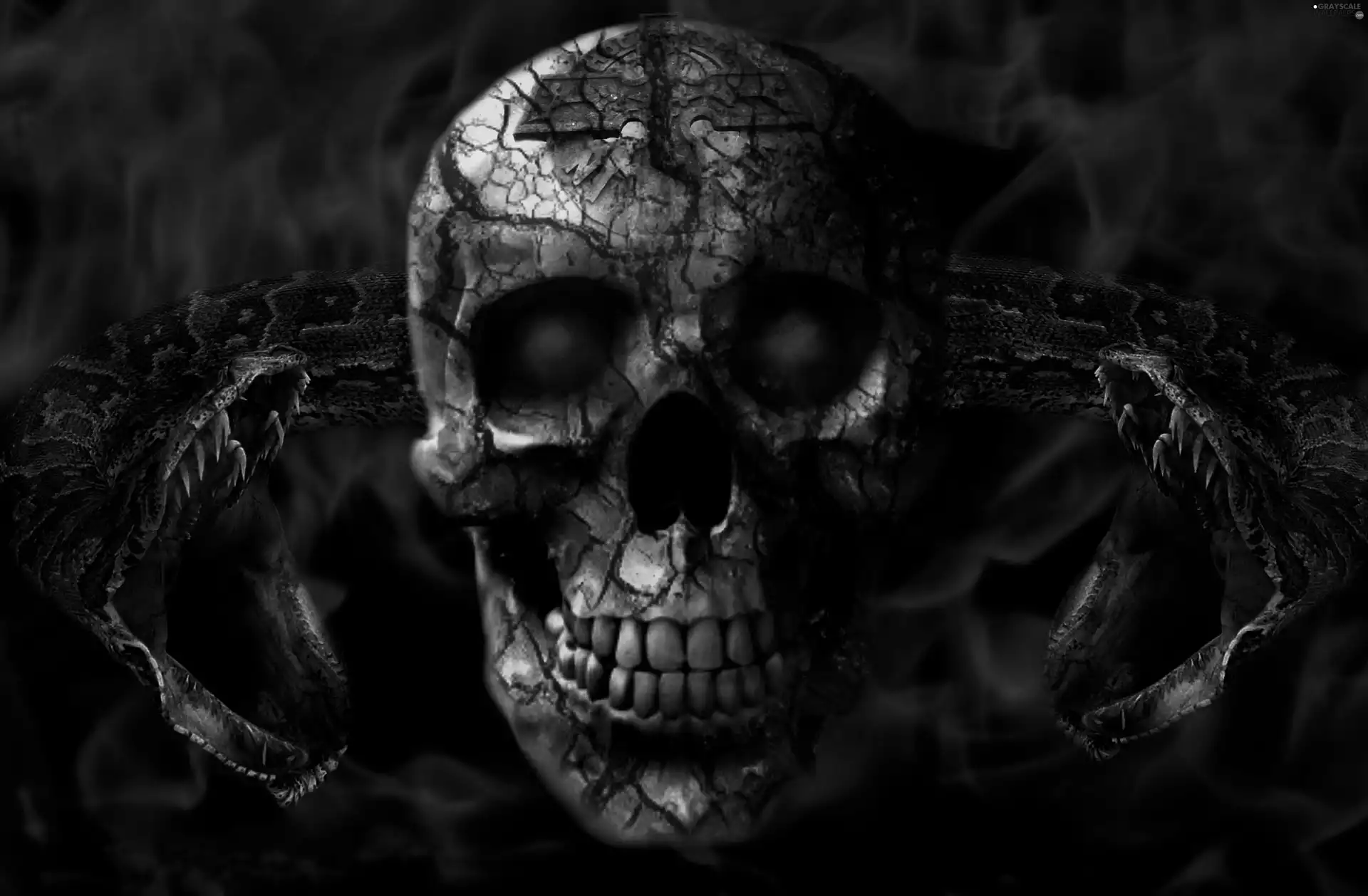 skull, snakes