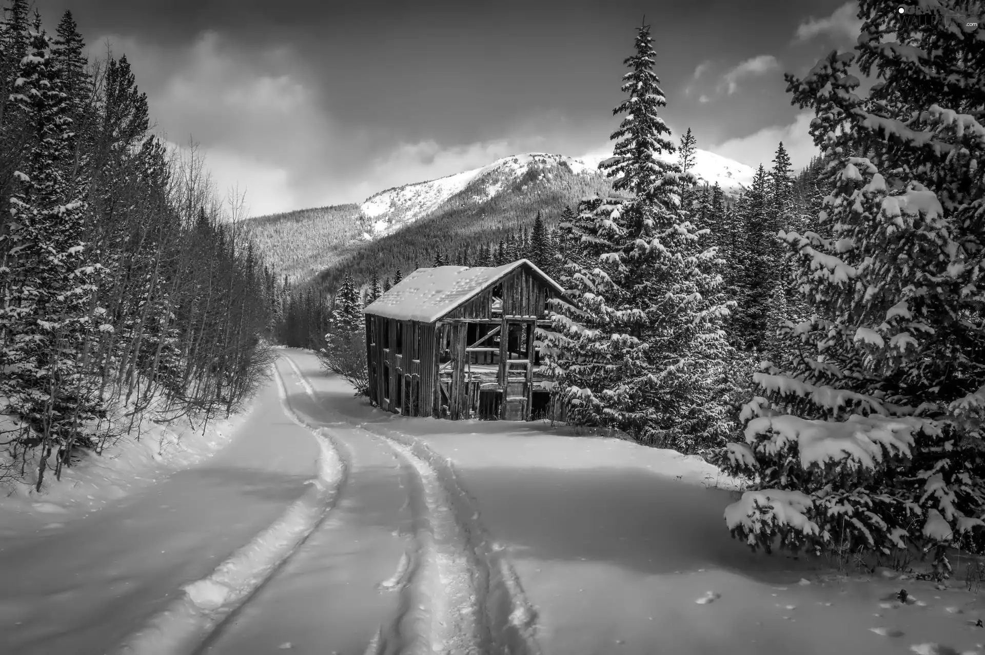 A snow-covered, Way, Mountains, forest, winter