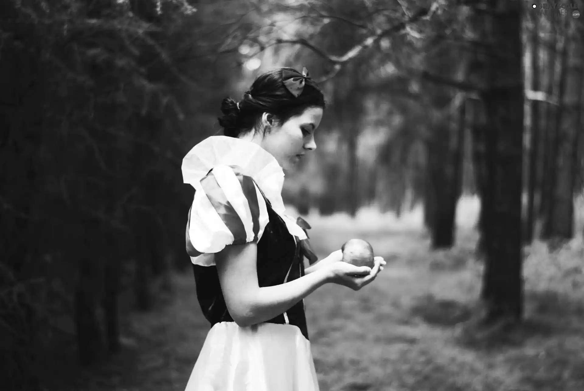 girl, Cosplay, Snow White and the Seven Dwarfs, Apple, Snow White and the Seven Dwarfs