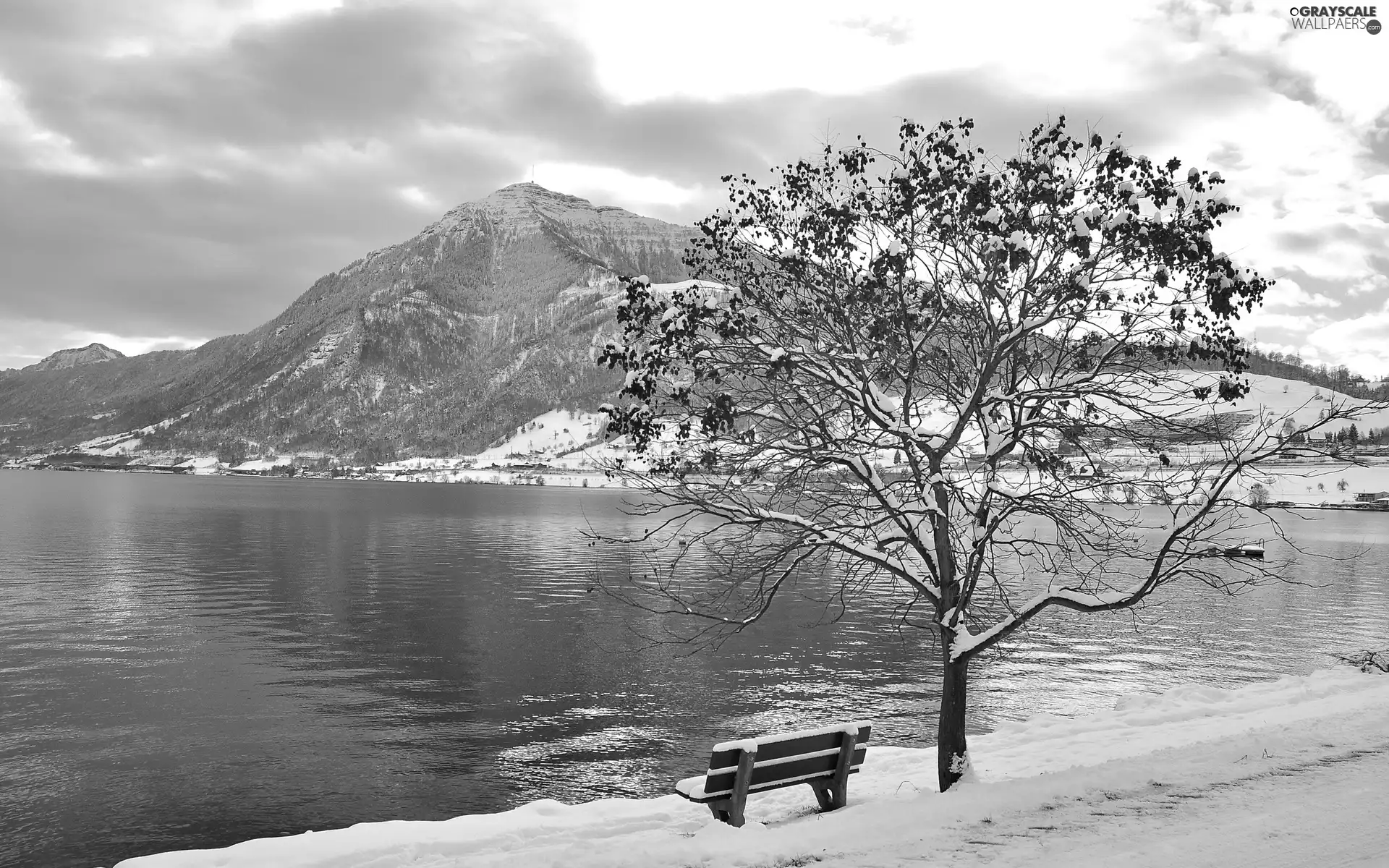 snow, trees, Bench