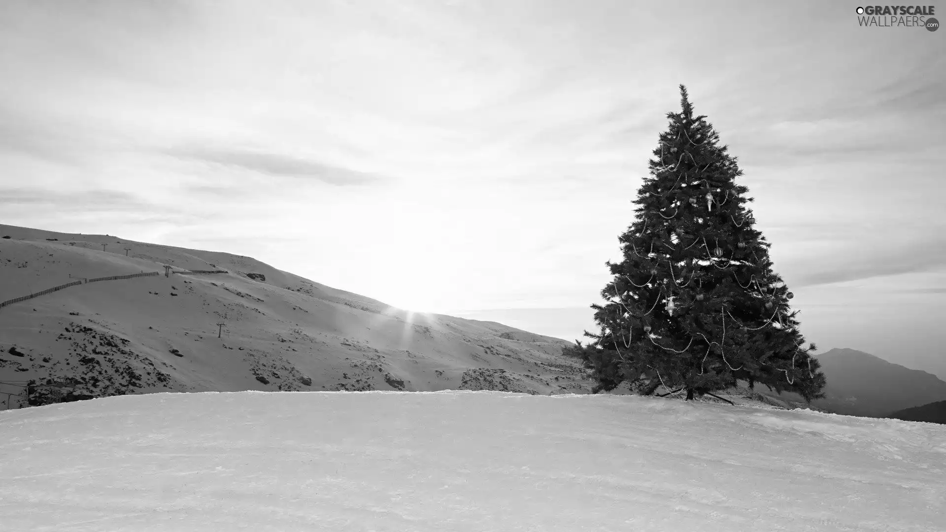 mountains, christmas tree, snow