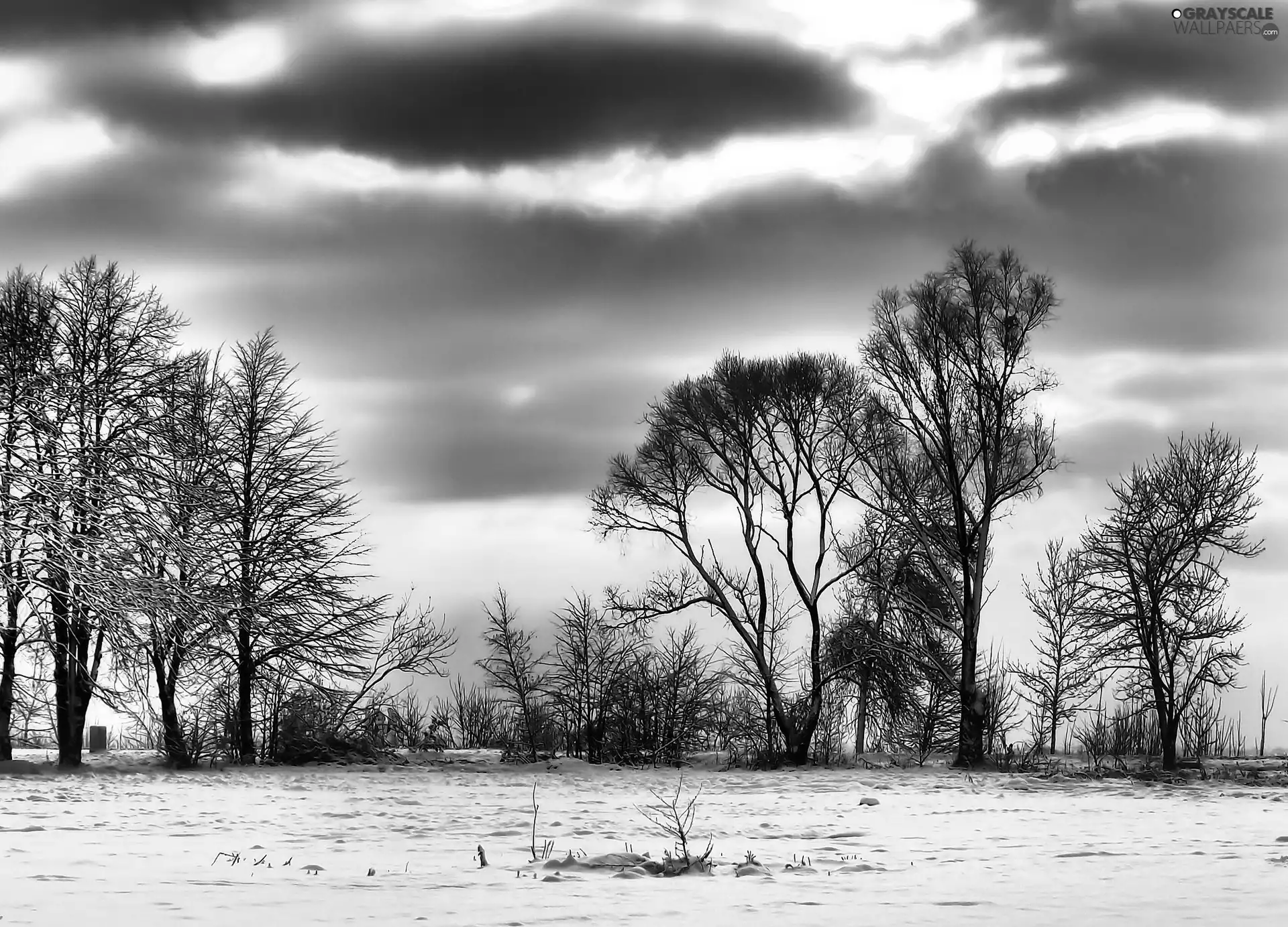 clouds, viewes, snow, trees