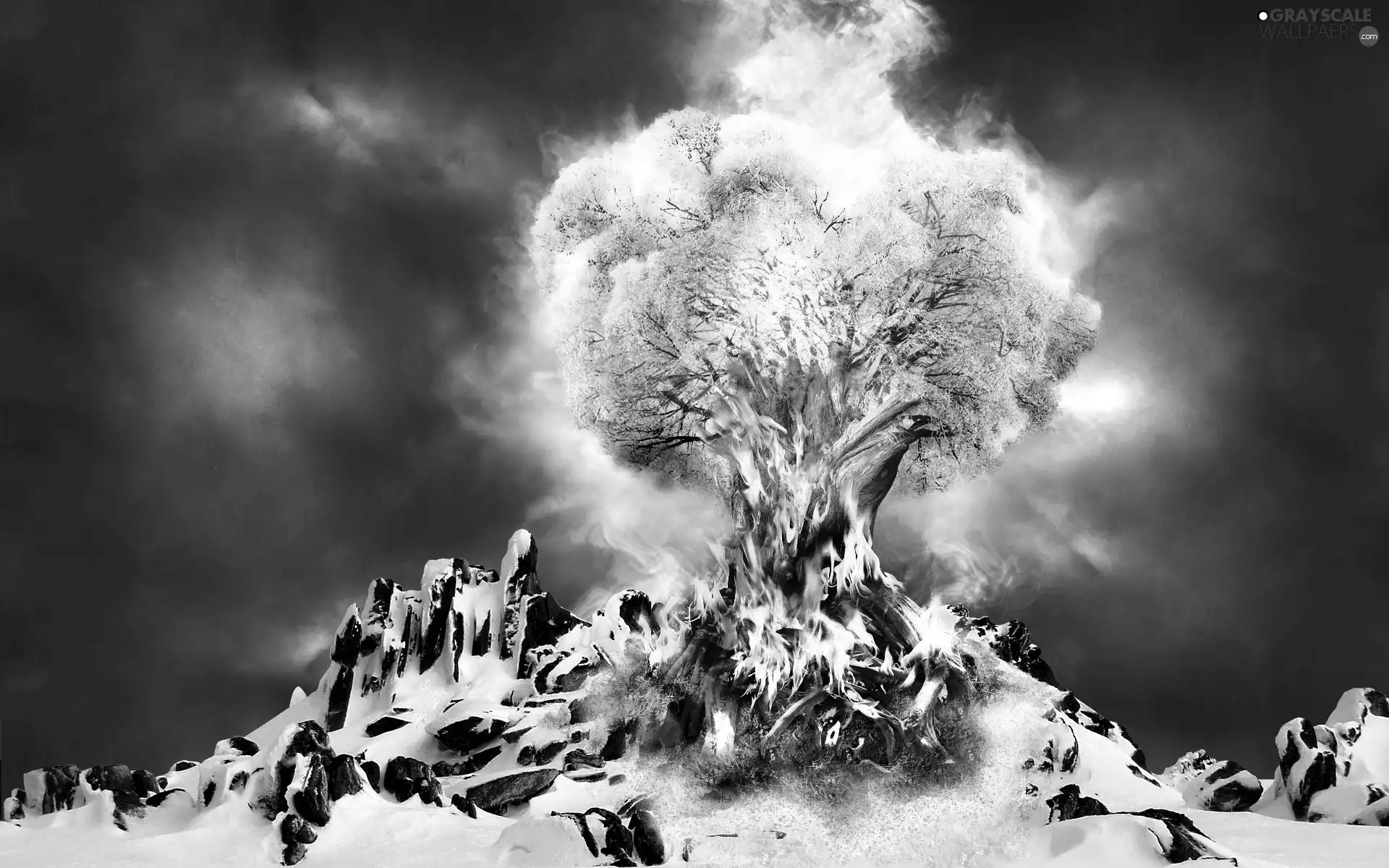 Fire, rocks, snow, trees