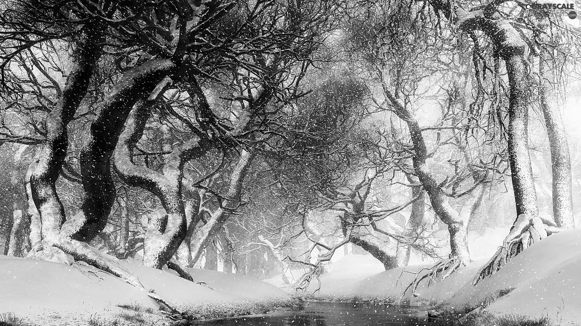 snow, Fog, viewes, River, trees