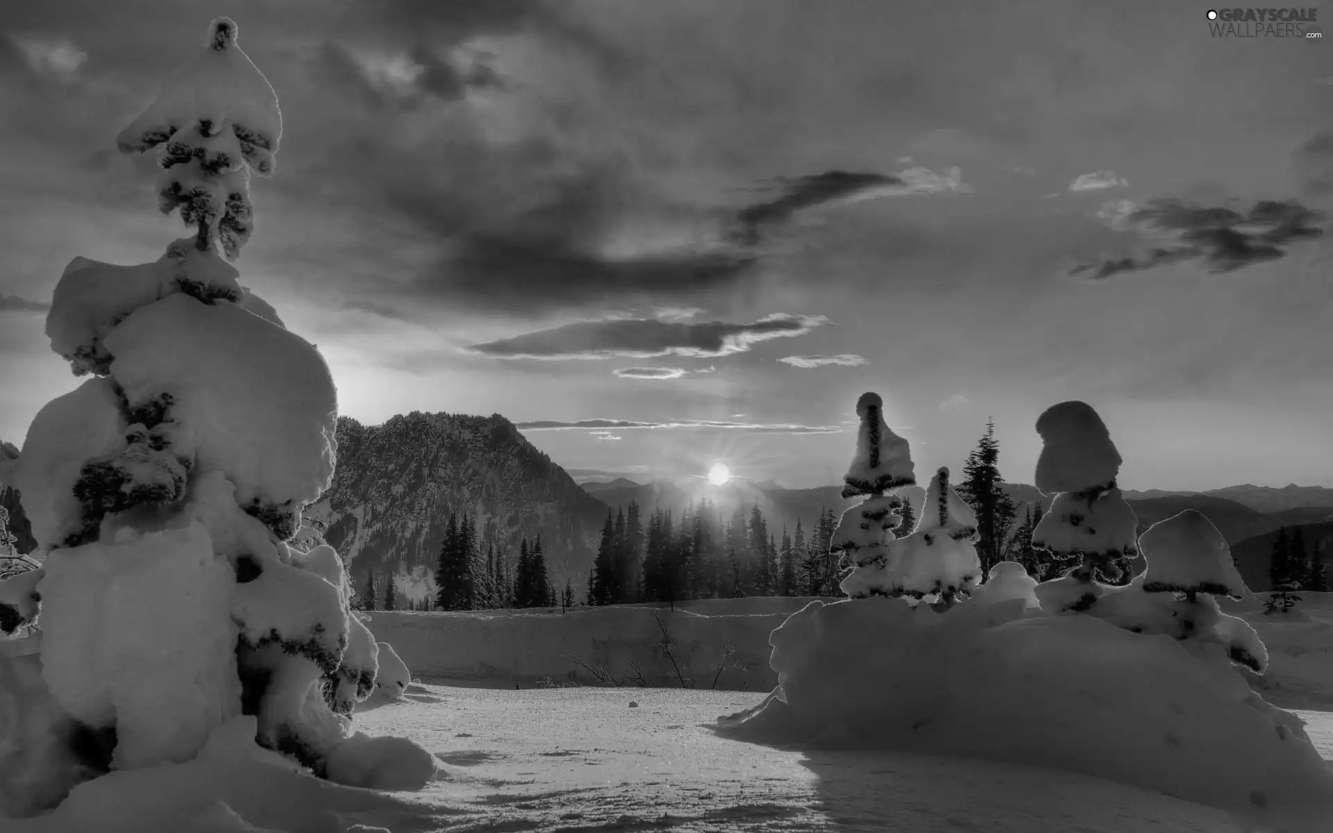 forest, clouds, snow, Great Sunsets