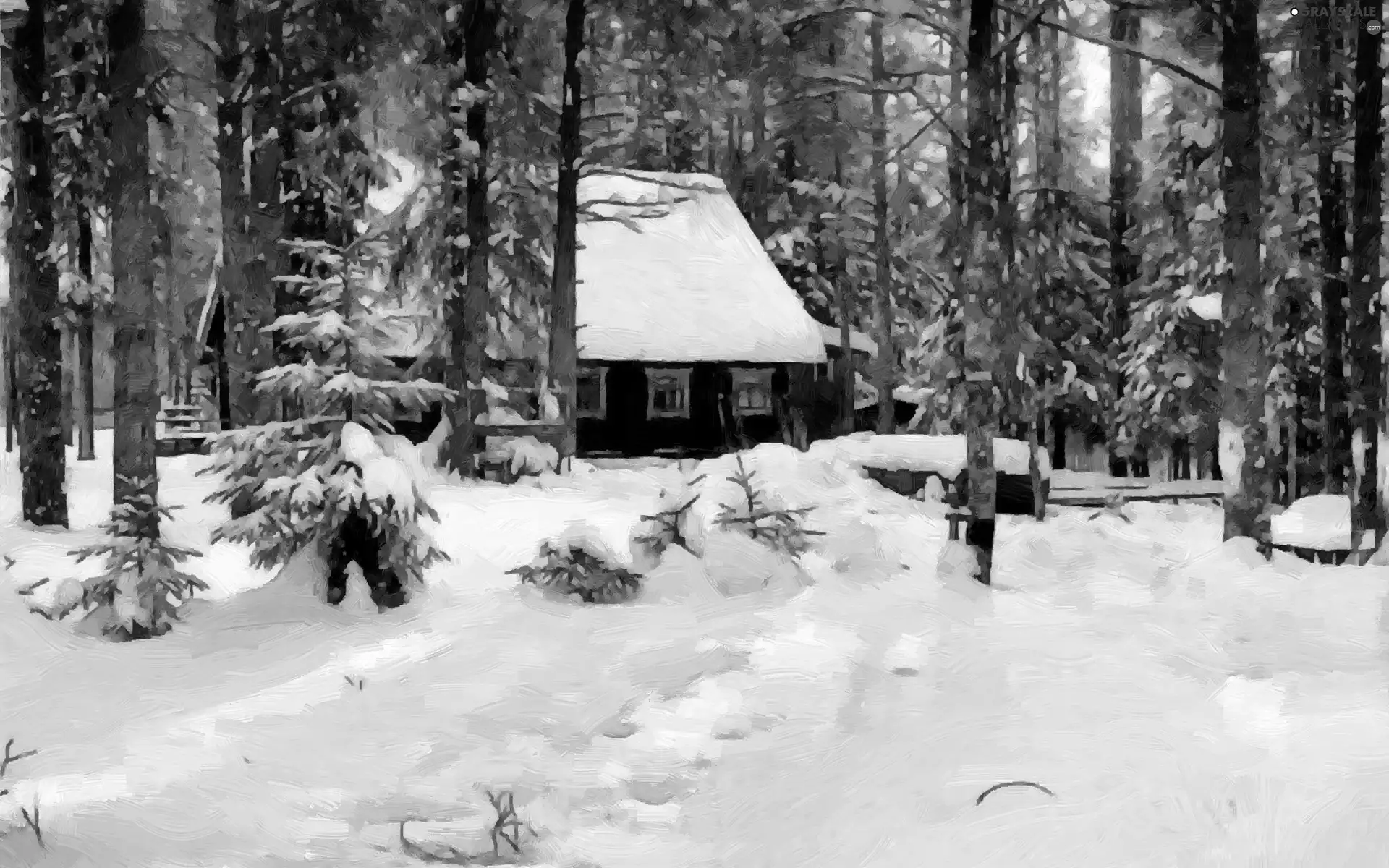 snow, forest, Home