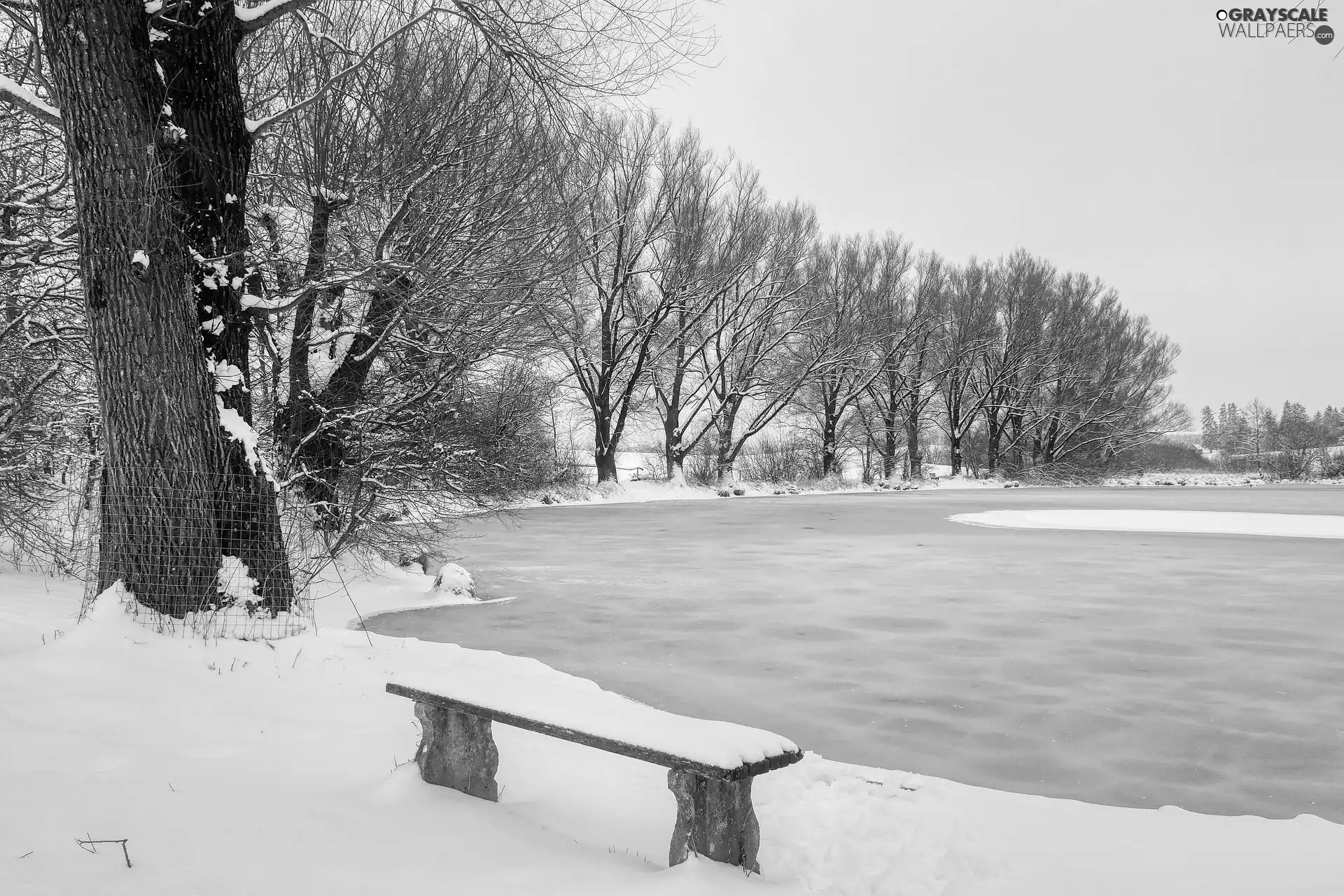Bench, winter, viewes, snow, trees, lake