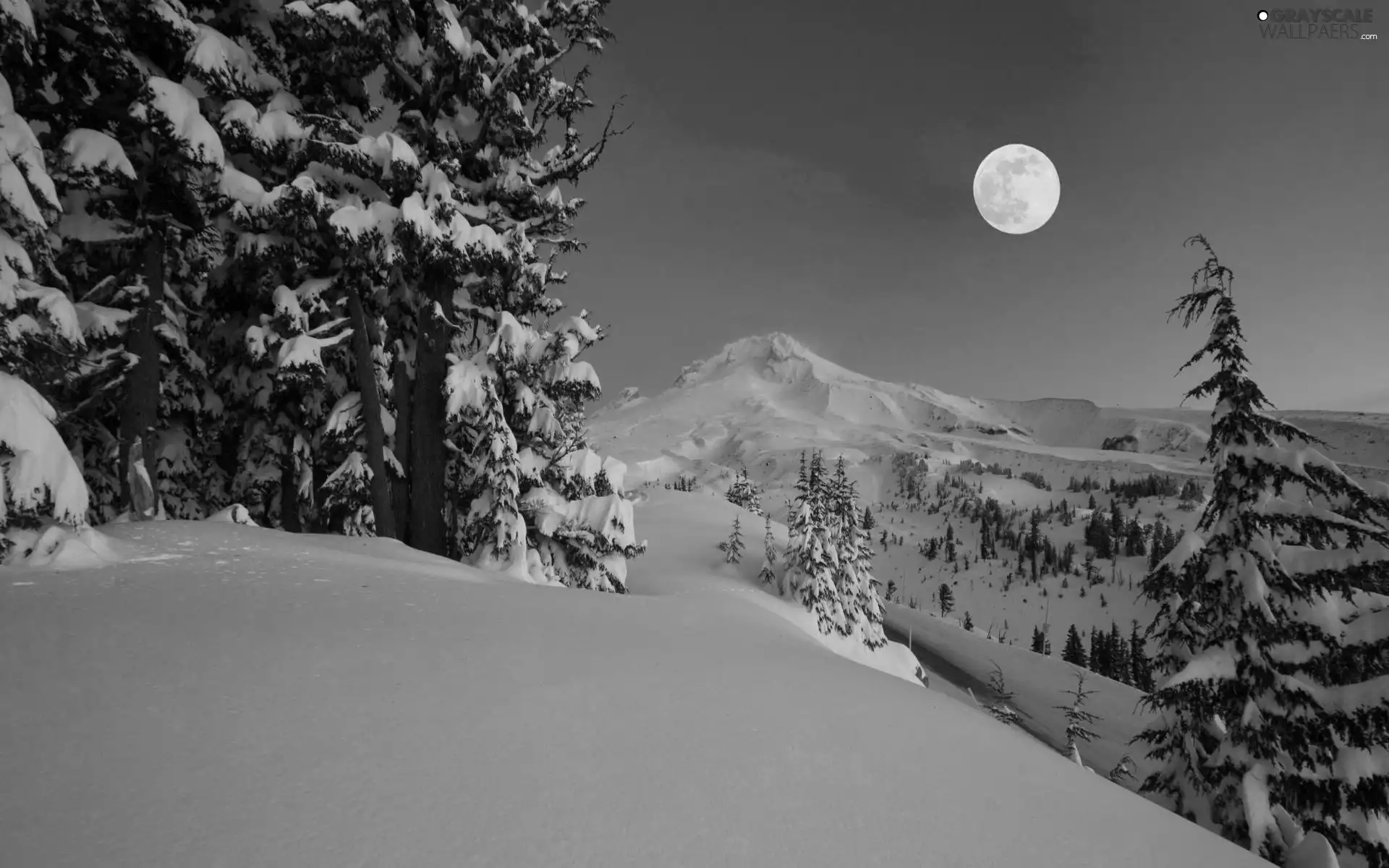 viewes, Mountains, snow, moon, Covered, trees