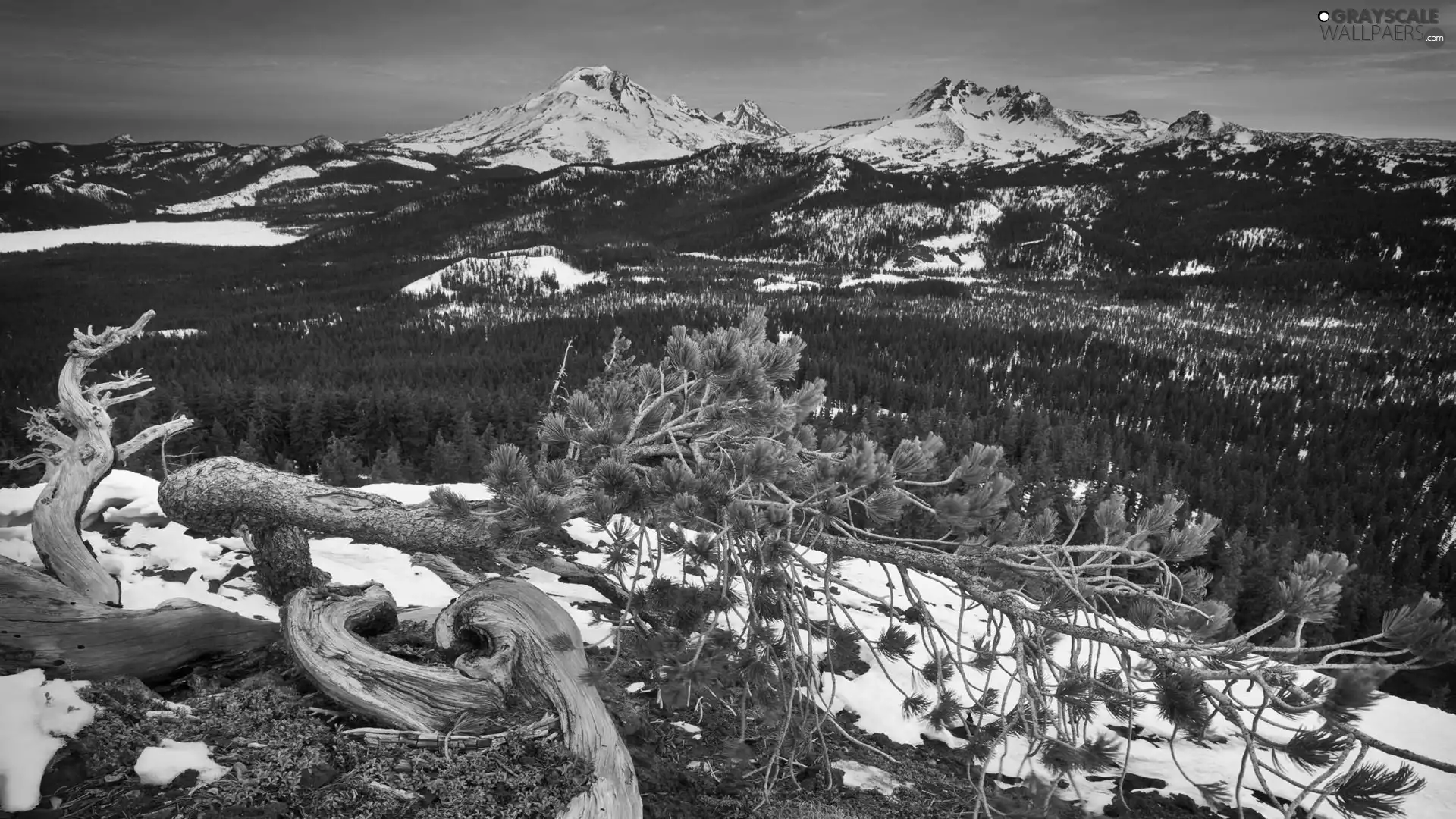 Mountains, viewes, snow, trees