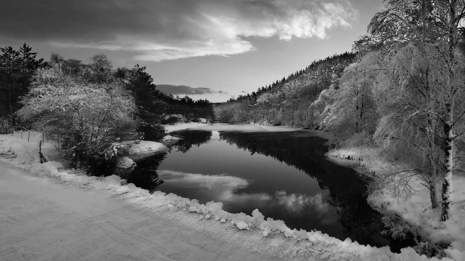 trees, clouds, snow, reflection, viewes, River