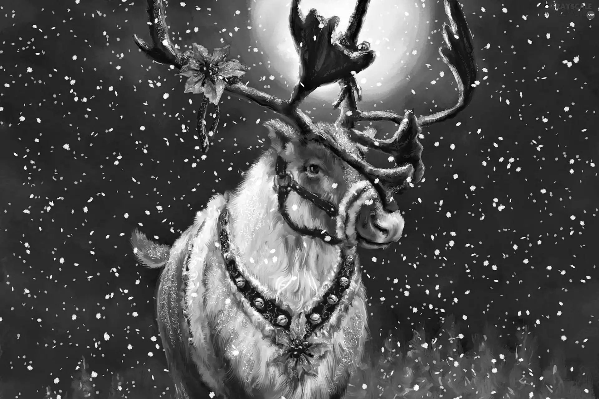 snow, festive, reindeer