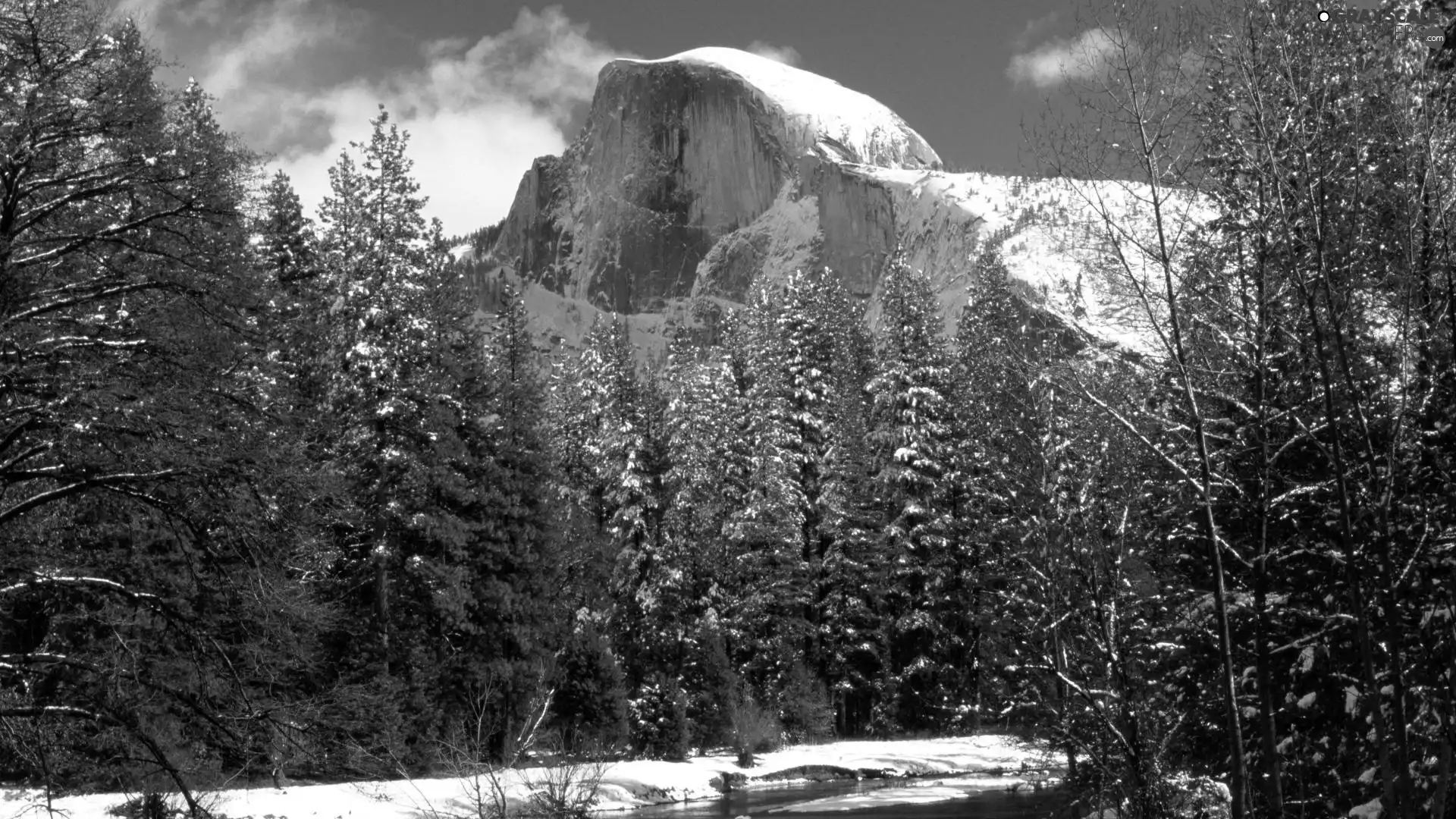 viewes, forest, snow, River, Mountains, trees