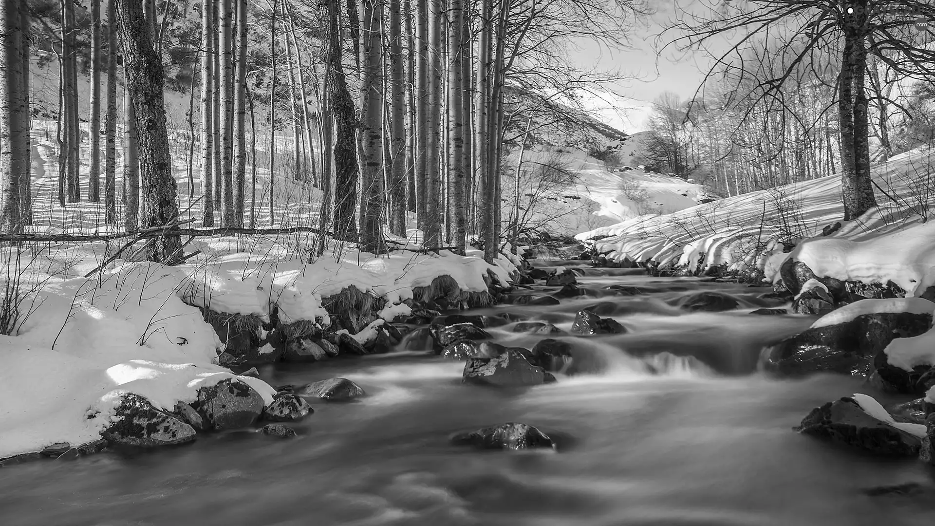 River, Stones, snow, forest