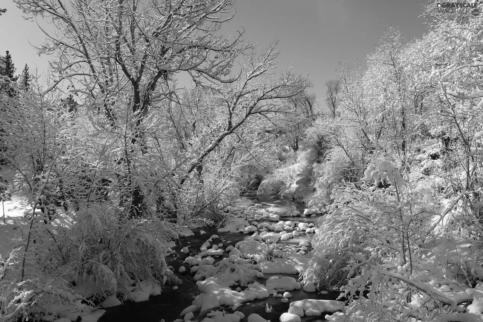 trees, winter, Stones, snow, viewes, River