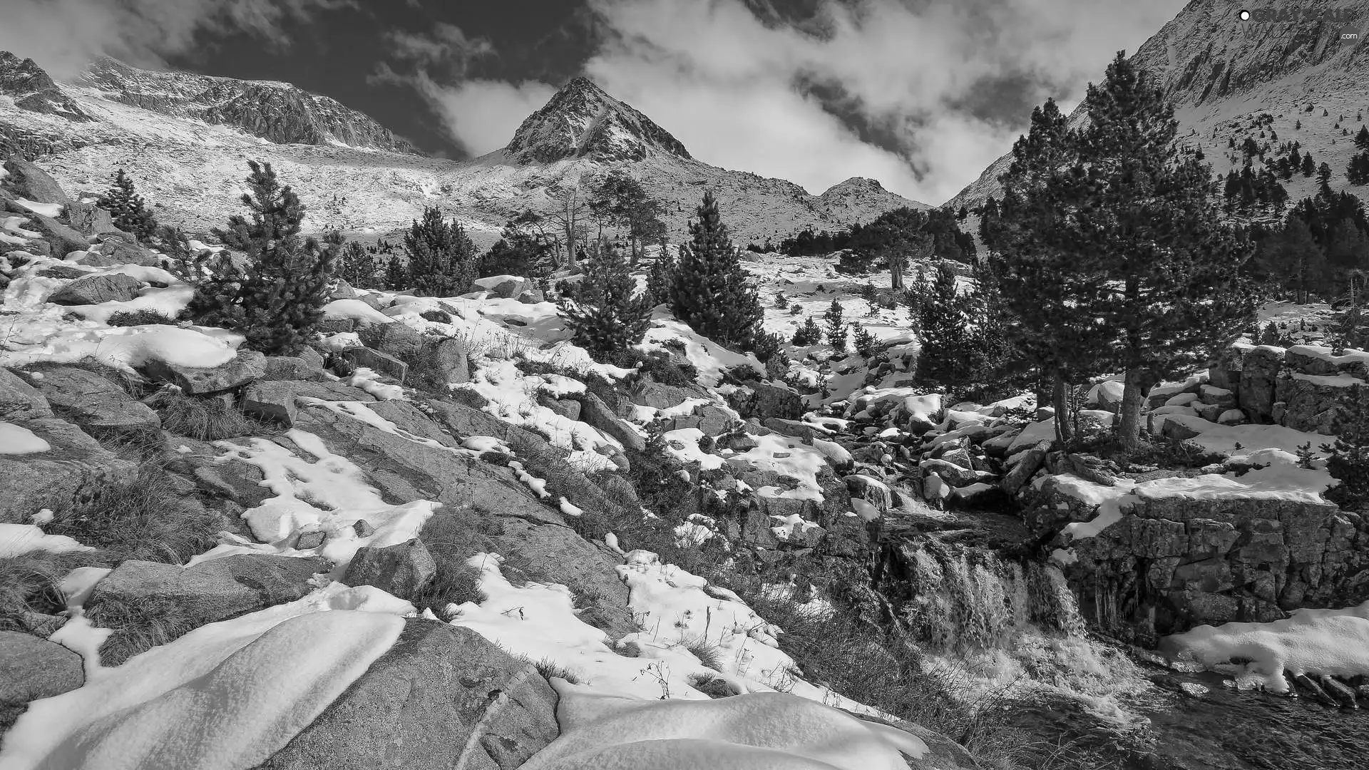 viewes, snow, rocks, trees, Mountains