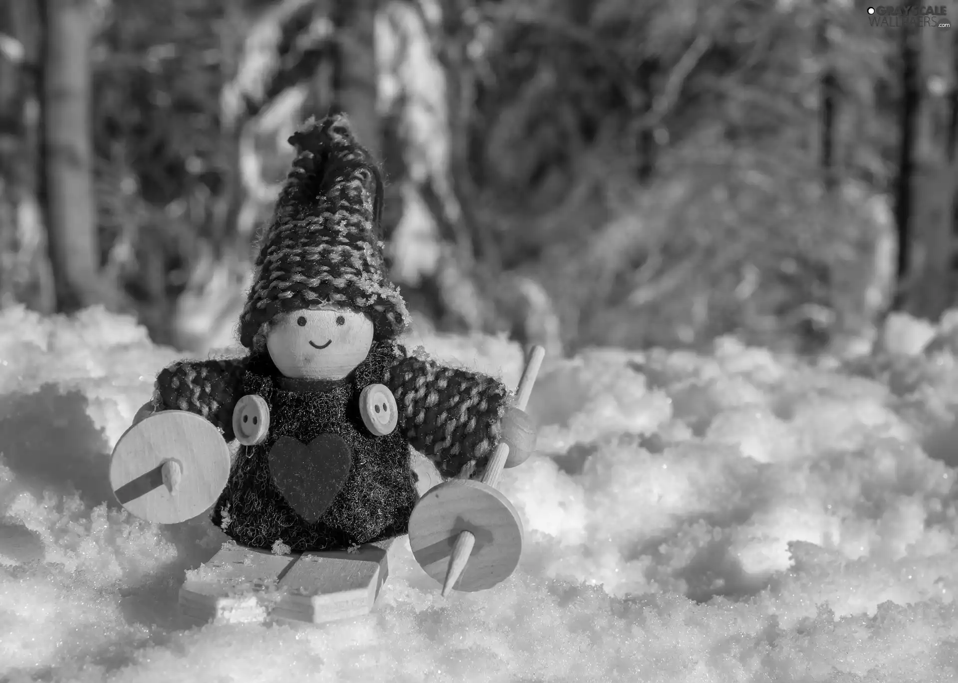 snow, dolly, skis