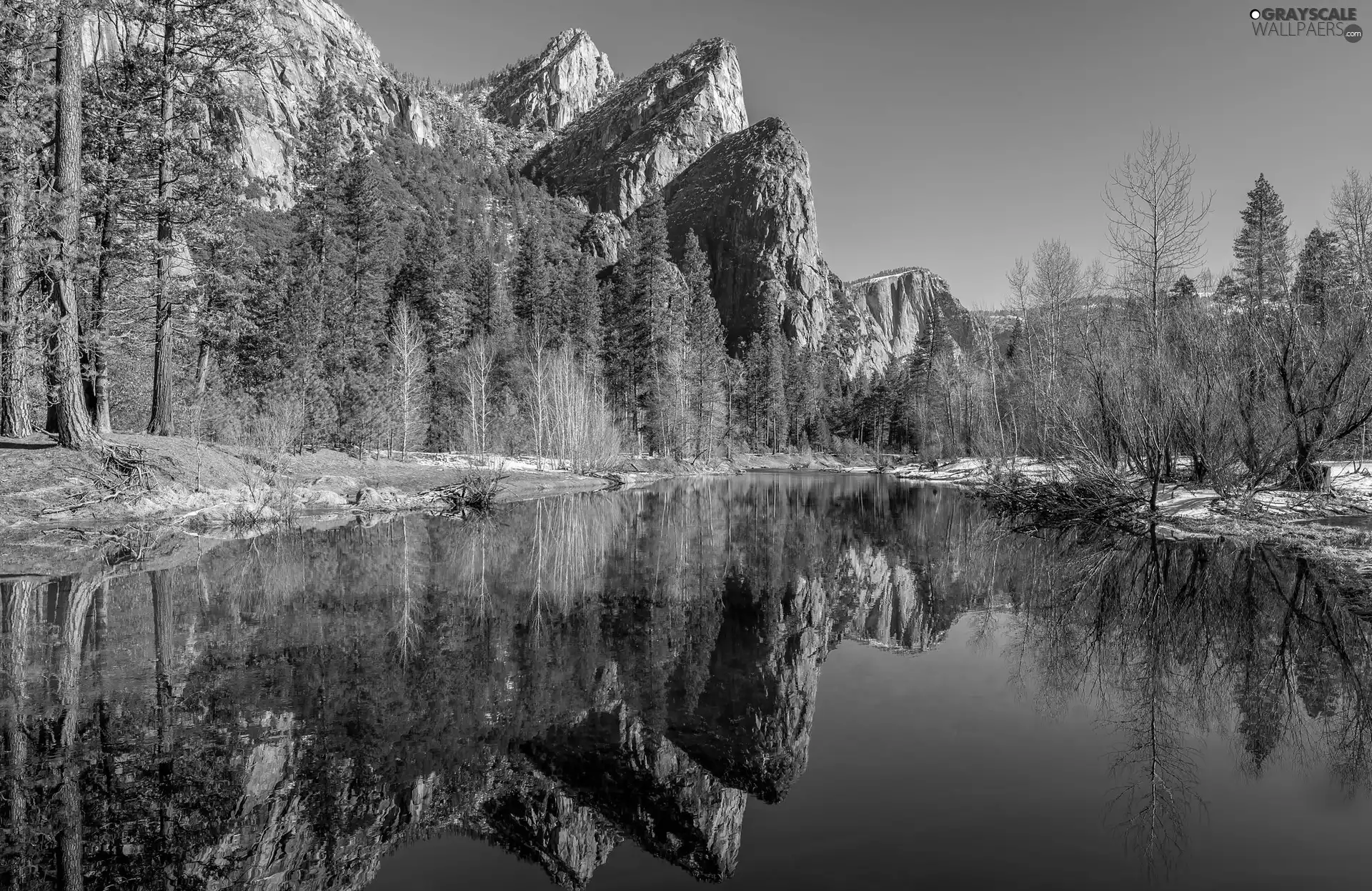 trees, lake, Spruces, snow, Mountains, viewes, reflection