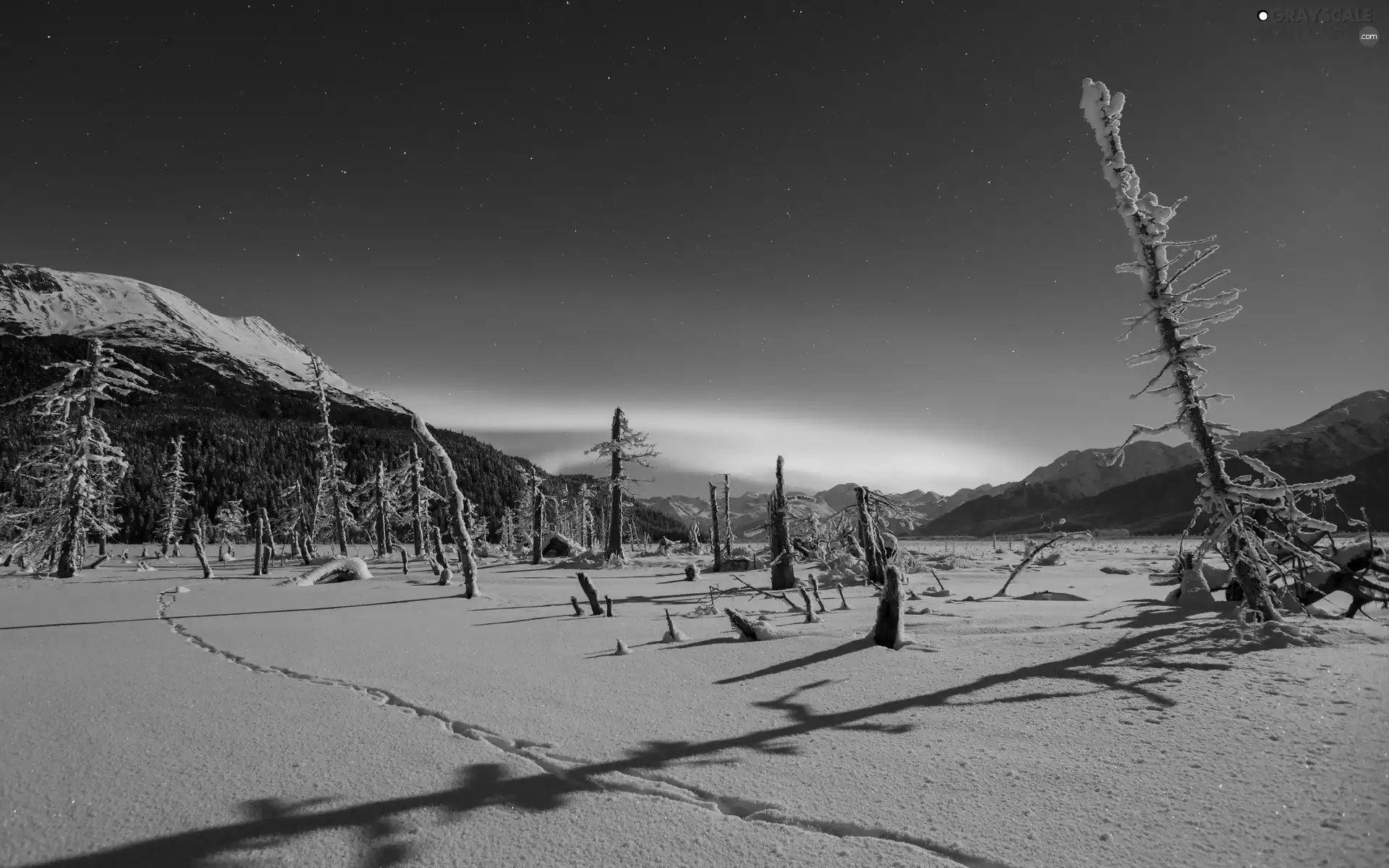 snow, star, trees, viewes, Mountains