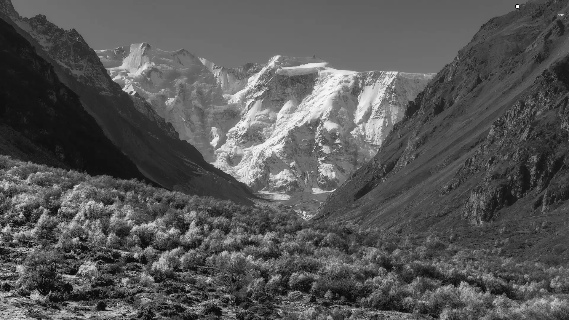 Valley, Mountains, trees, snow, autumn, Yellow, viewes