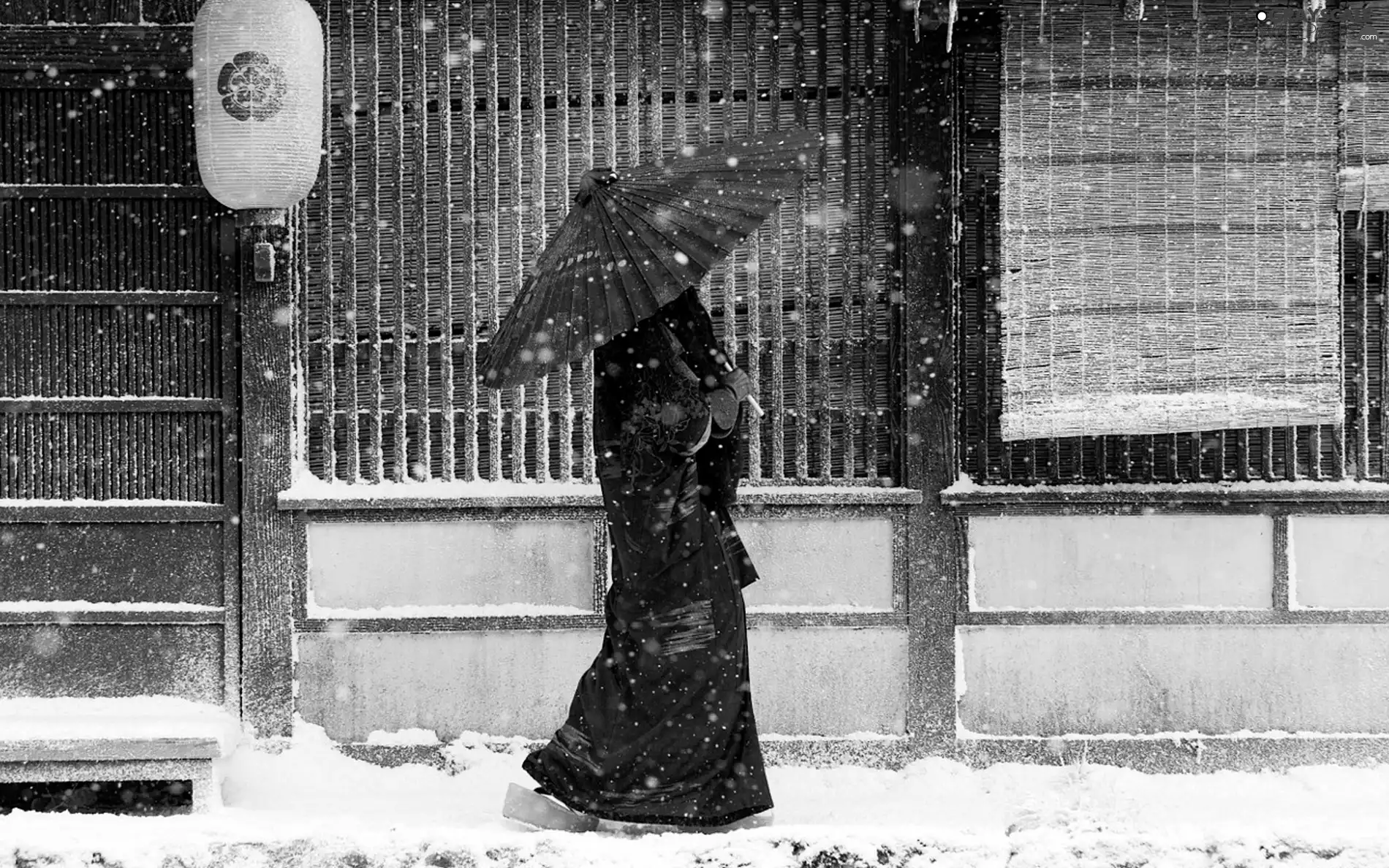 snow, Japanese, Umbrella