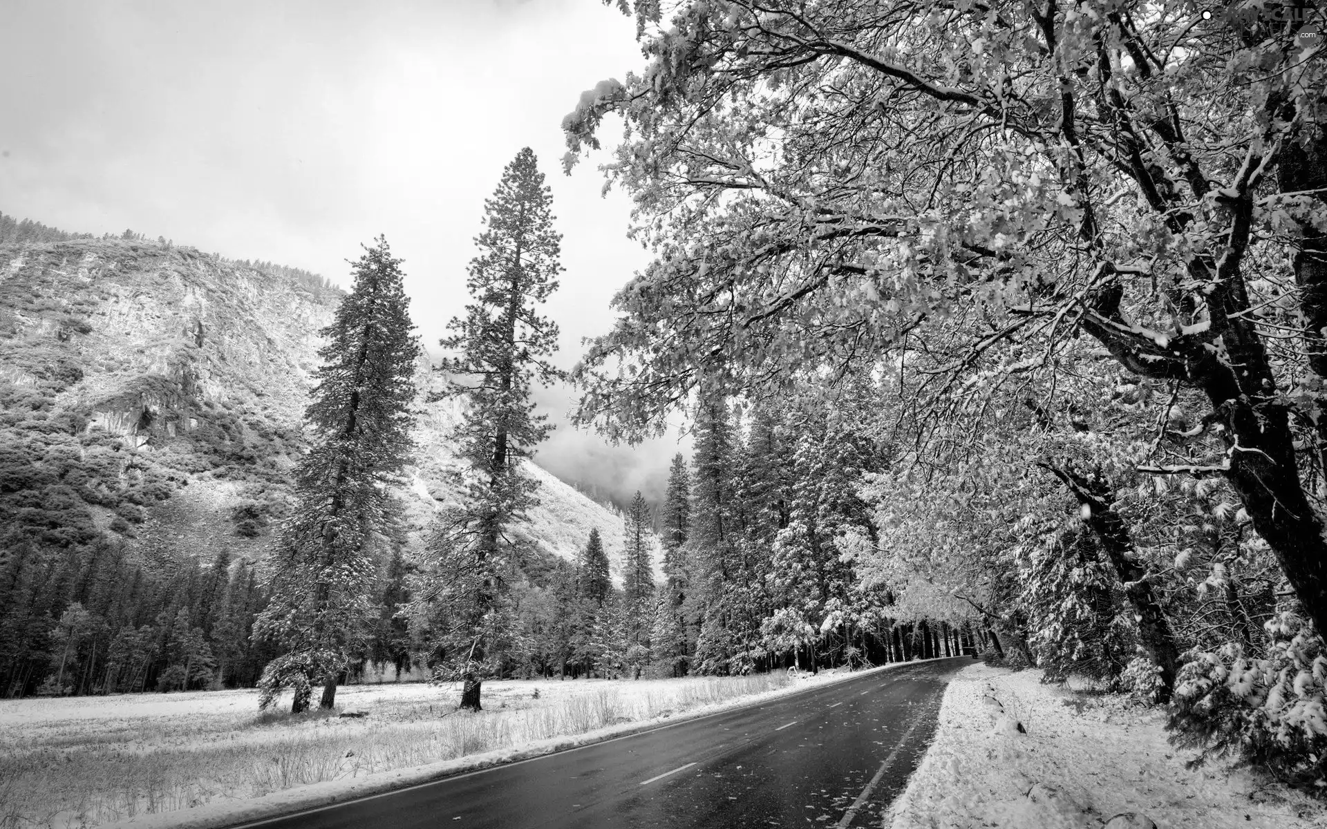 Way, first, snow, Mountains