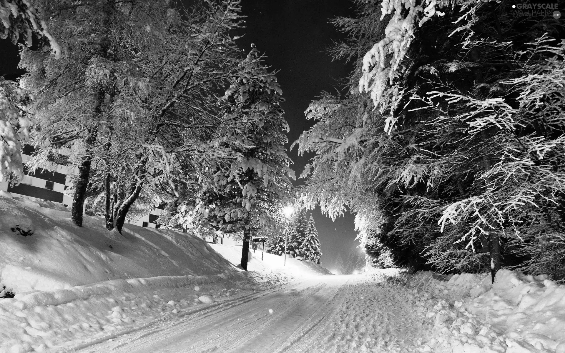 Way, viewes, snow, trees