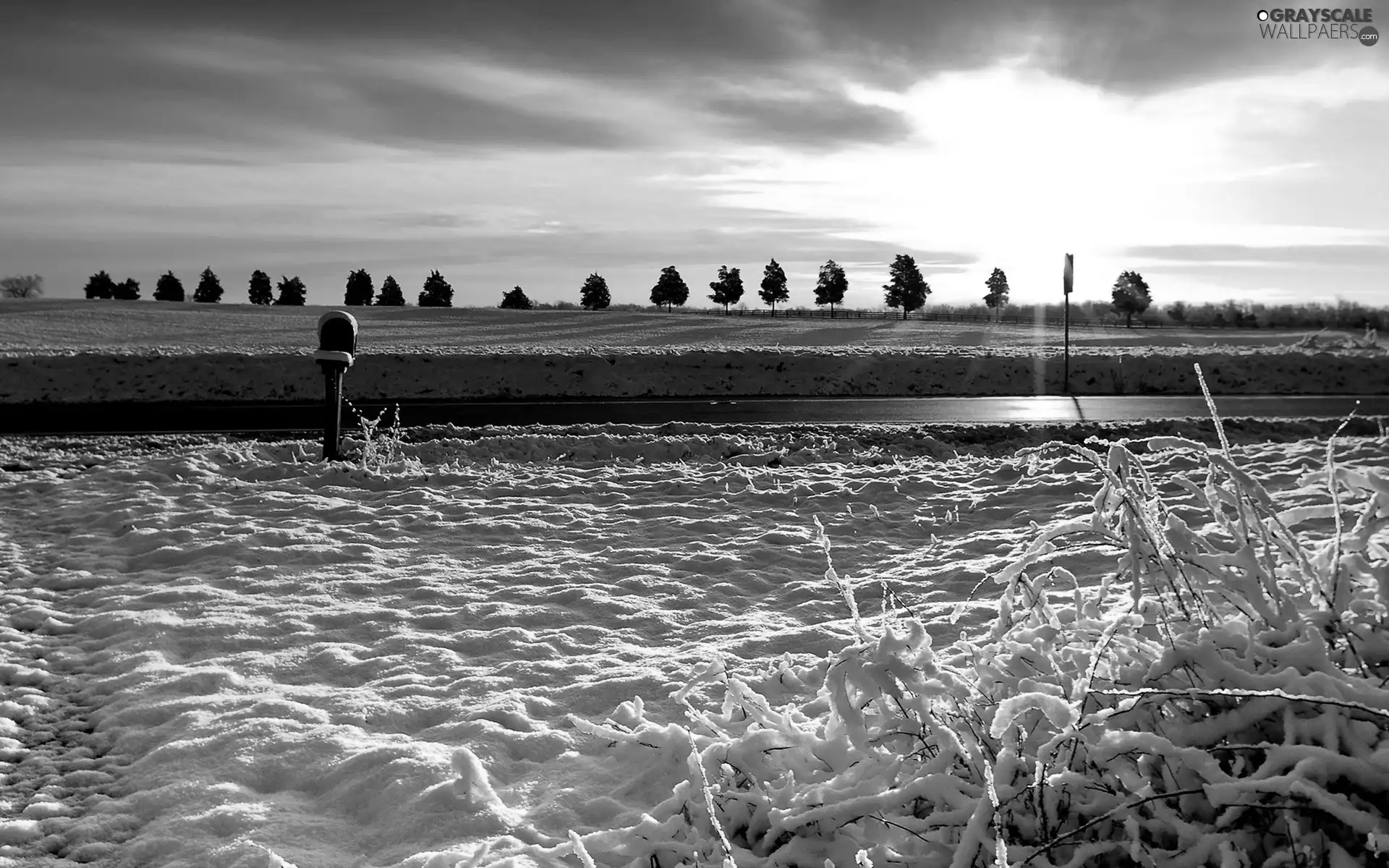 Way, west, snow, winter, field, sun