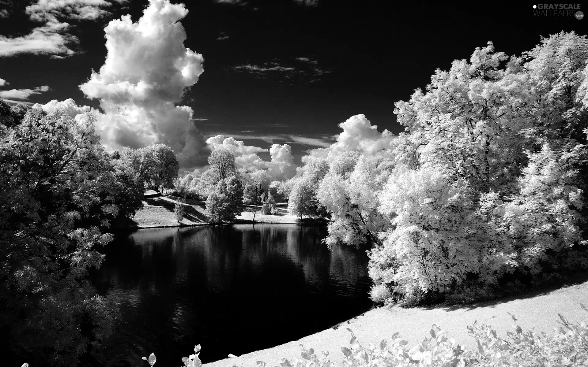 viewes, clouds, snow, winter, lake, trees